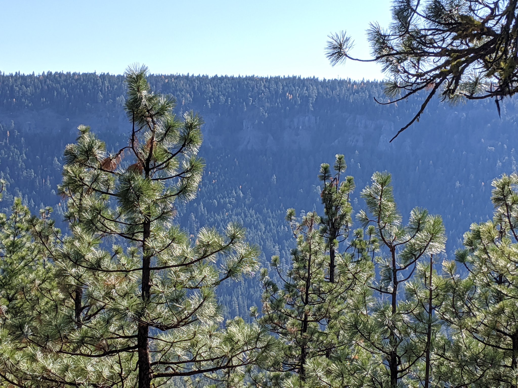 Underhill Campground