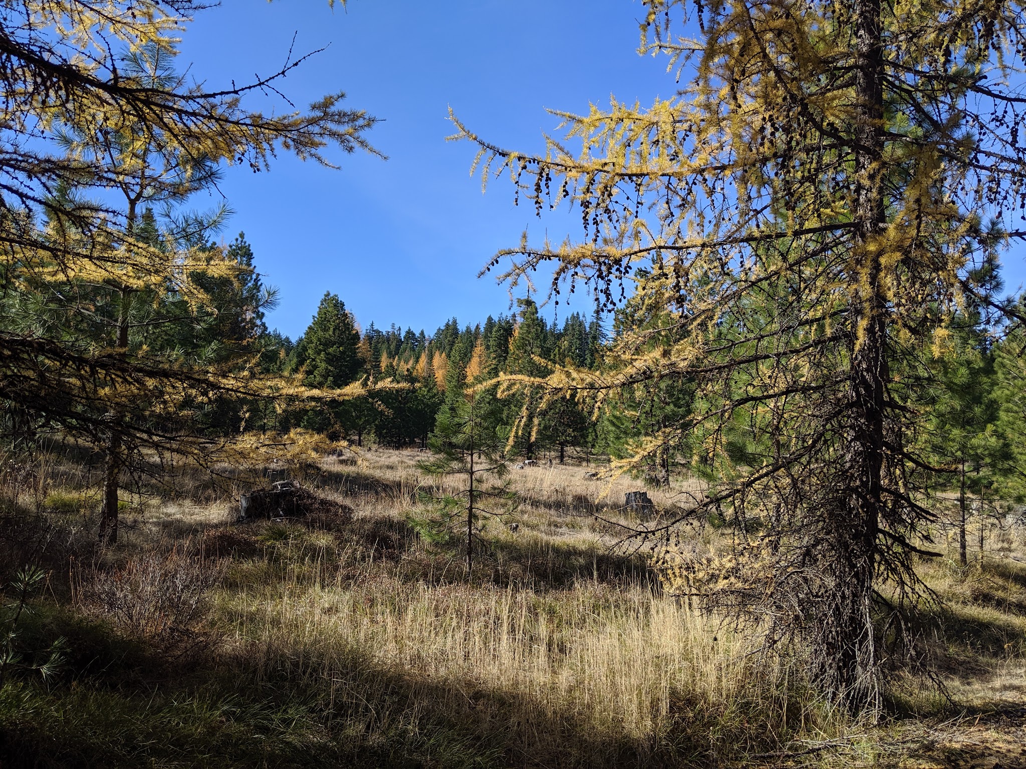 Underhill Campground