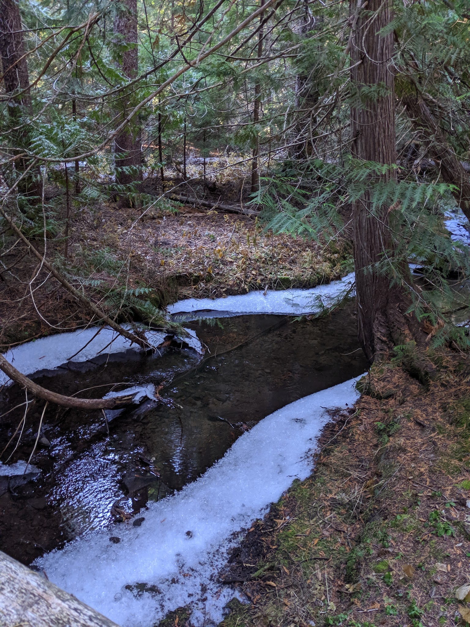 Underhill Campground