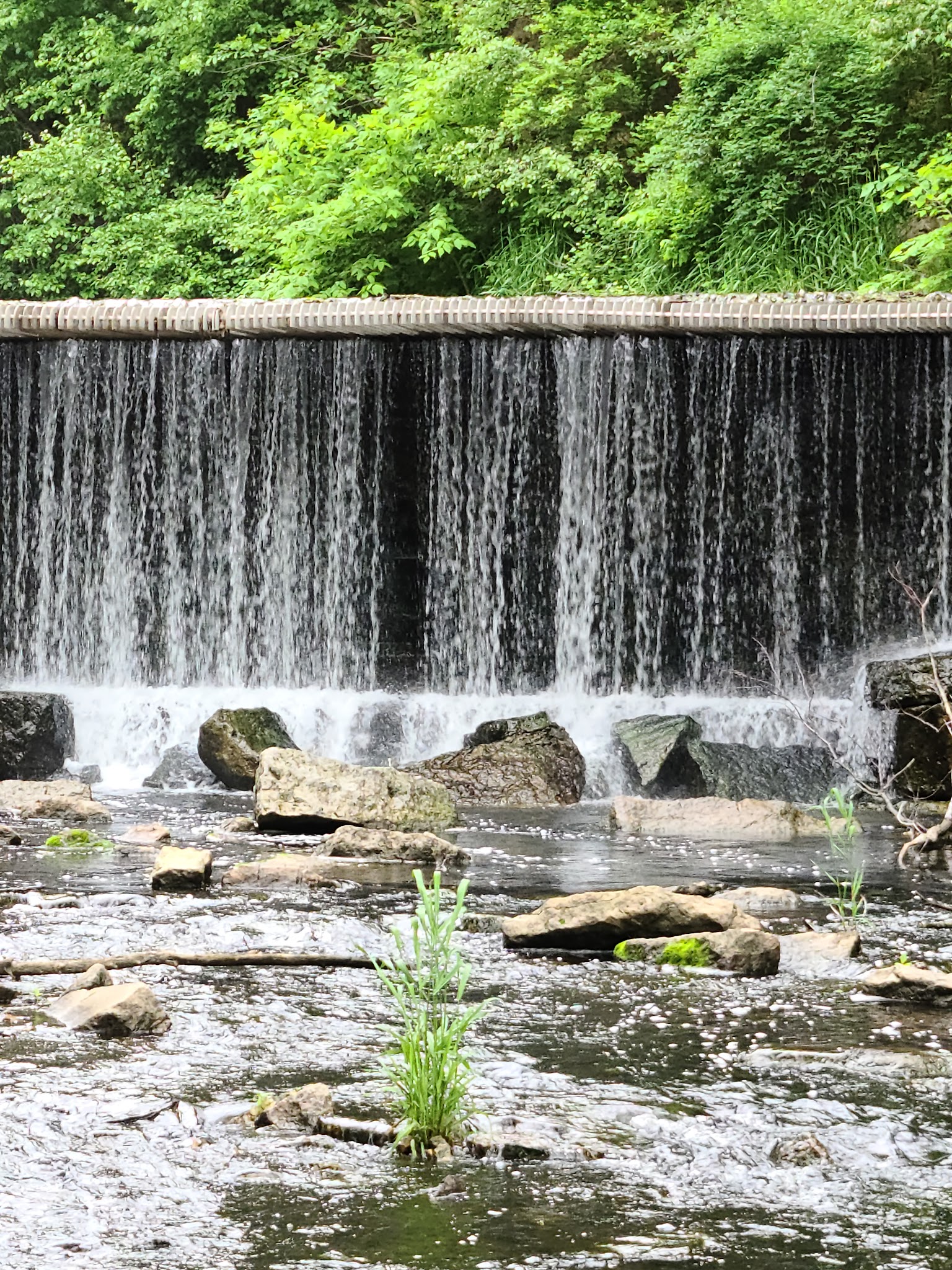 Union Grove State Park