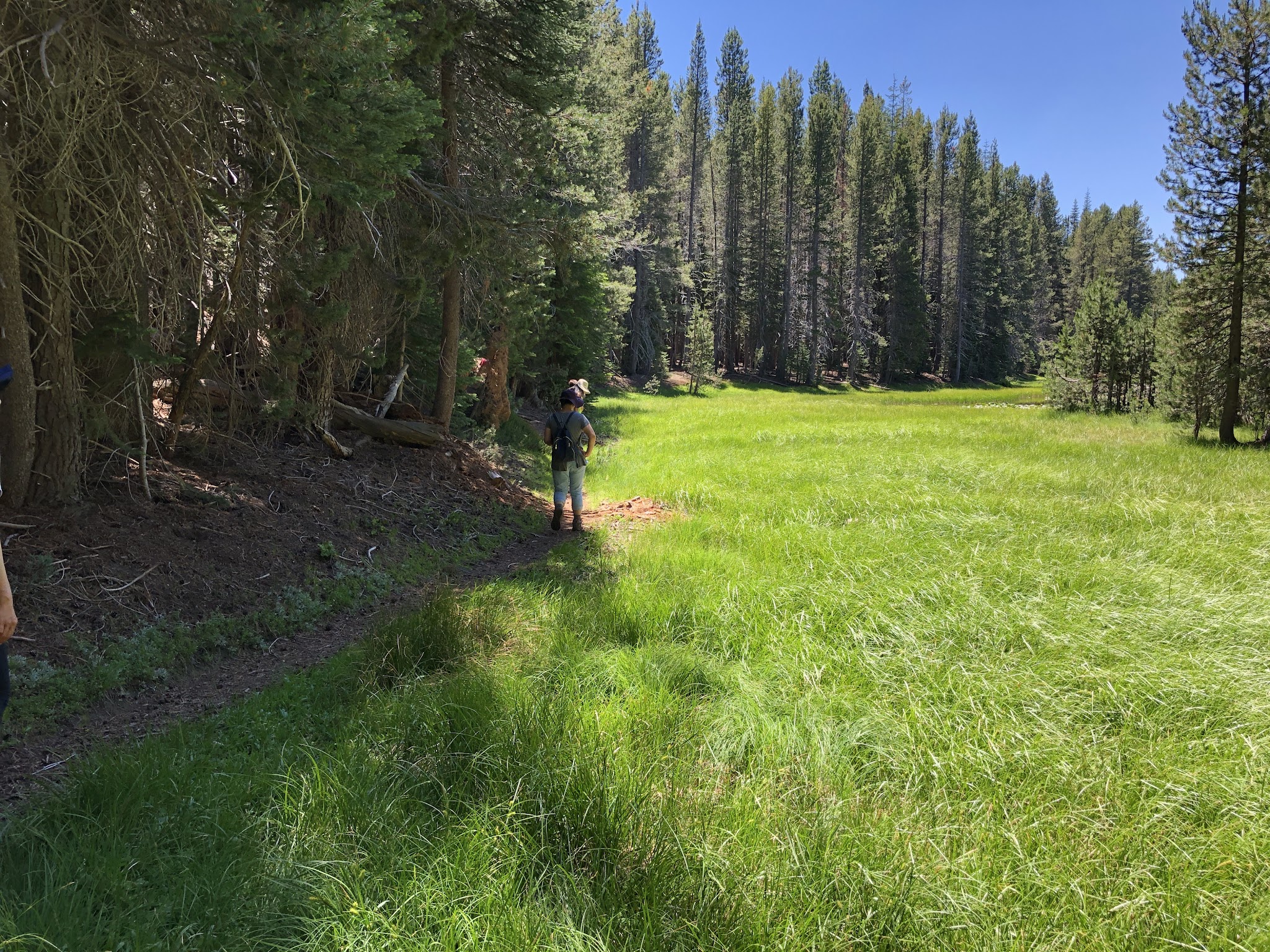 Utica Reservoir Campgrounds