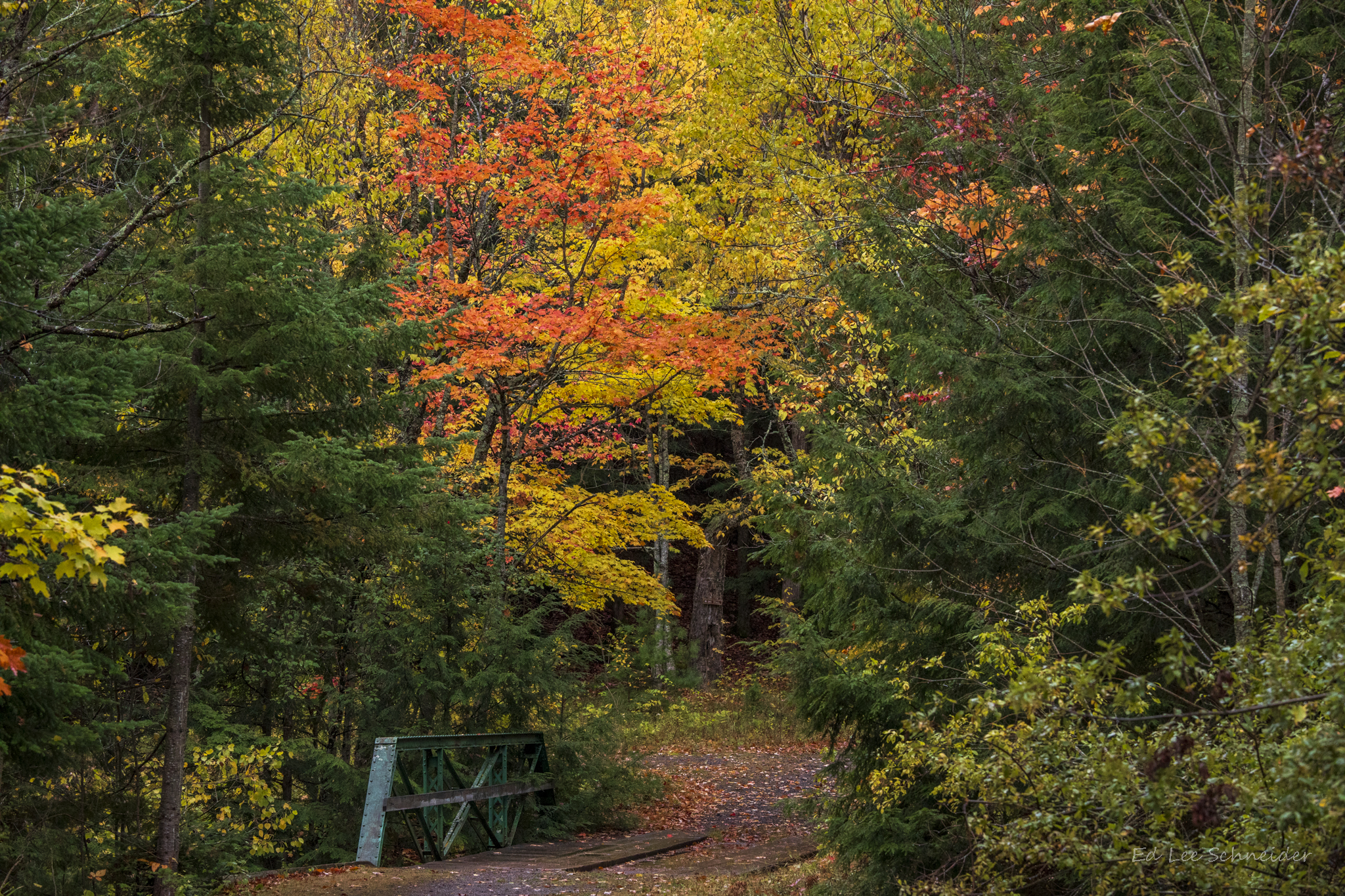 Porcupine Mountains-Union River Outpost-Rustic