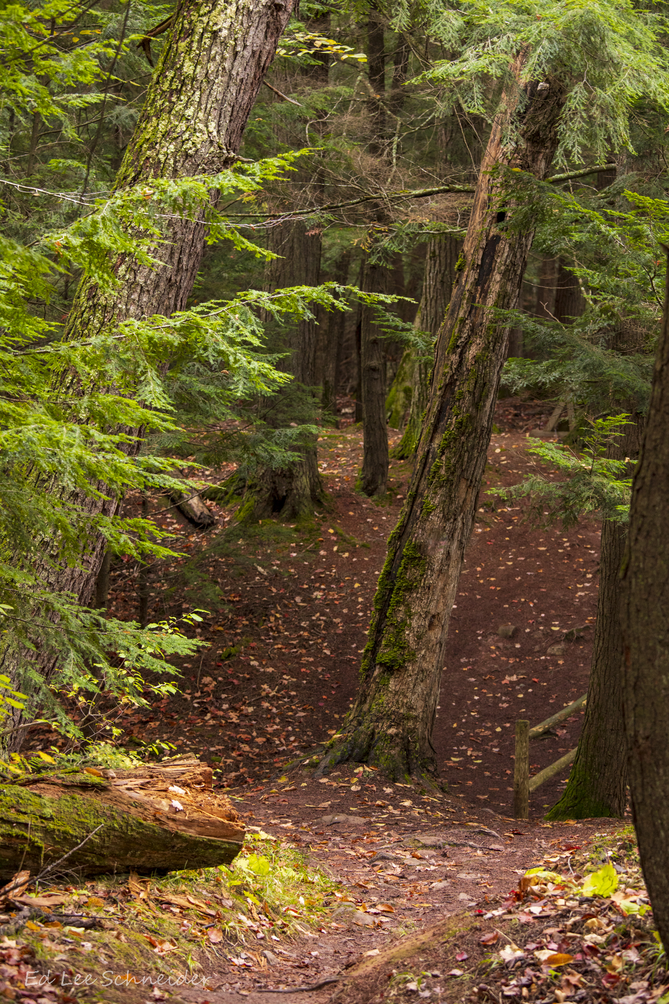 Porcupine Mountains-Union River Outpost-Rustic