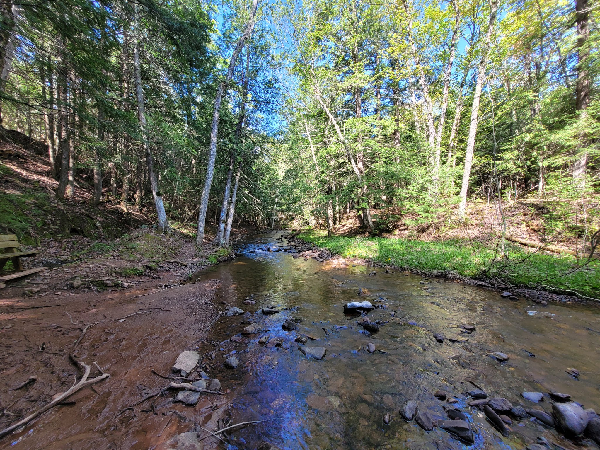 Porcupine Mountains-Union River Outpost-Rustic