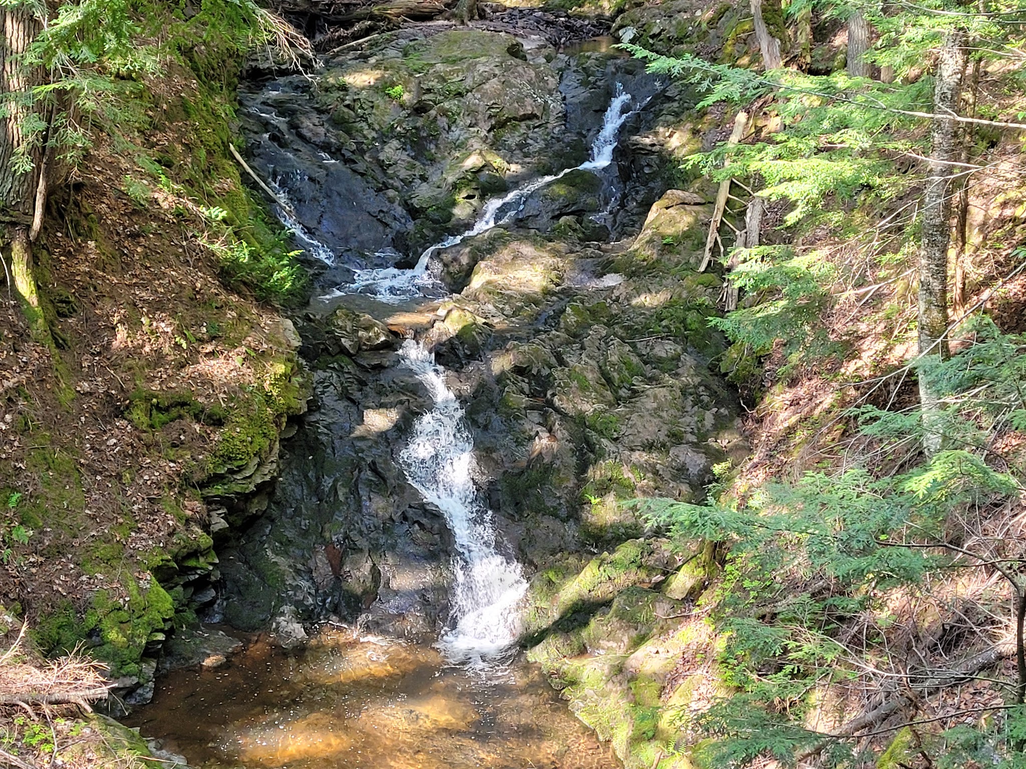 Porcupine Mountains-Union River Outpost-Rustic