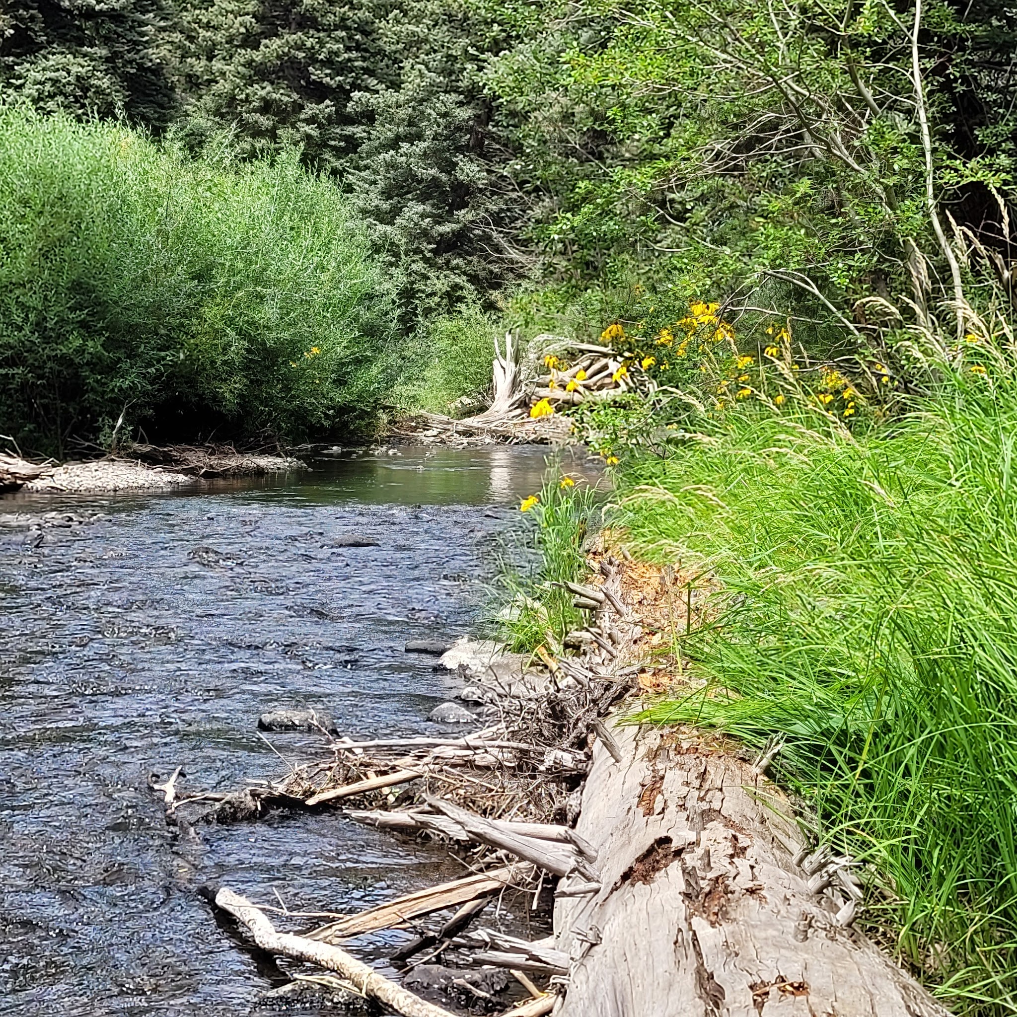 Upper Beaver Creek Campground