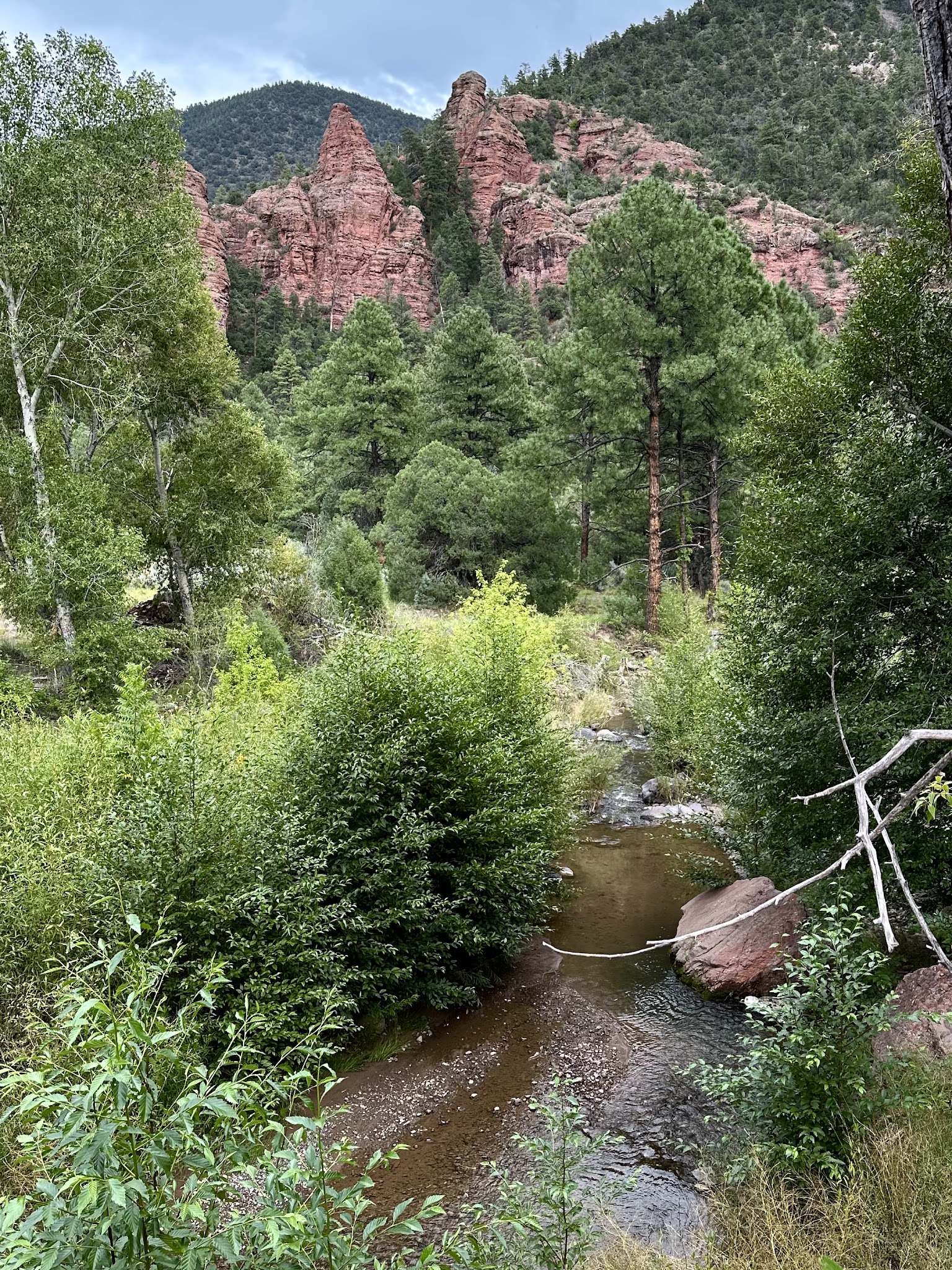 Upper Blue Campground