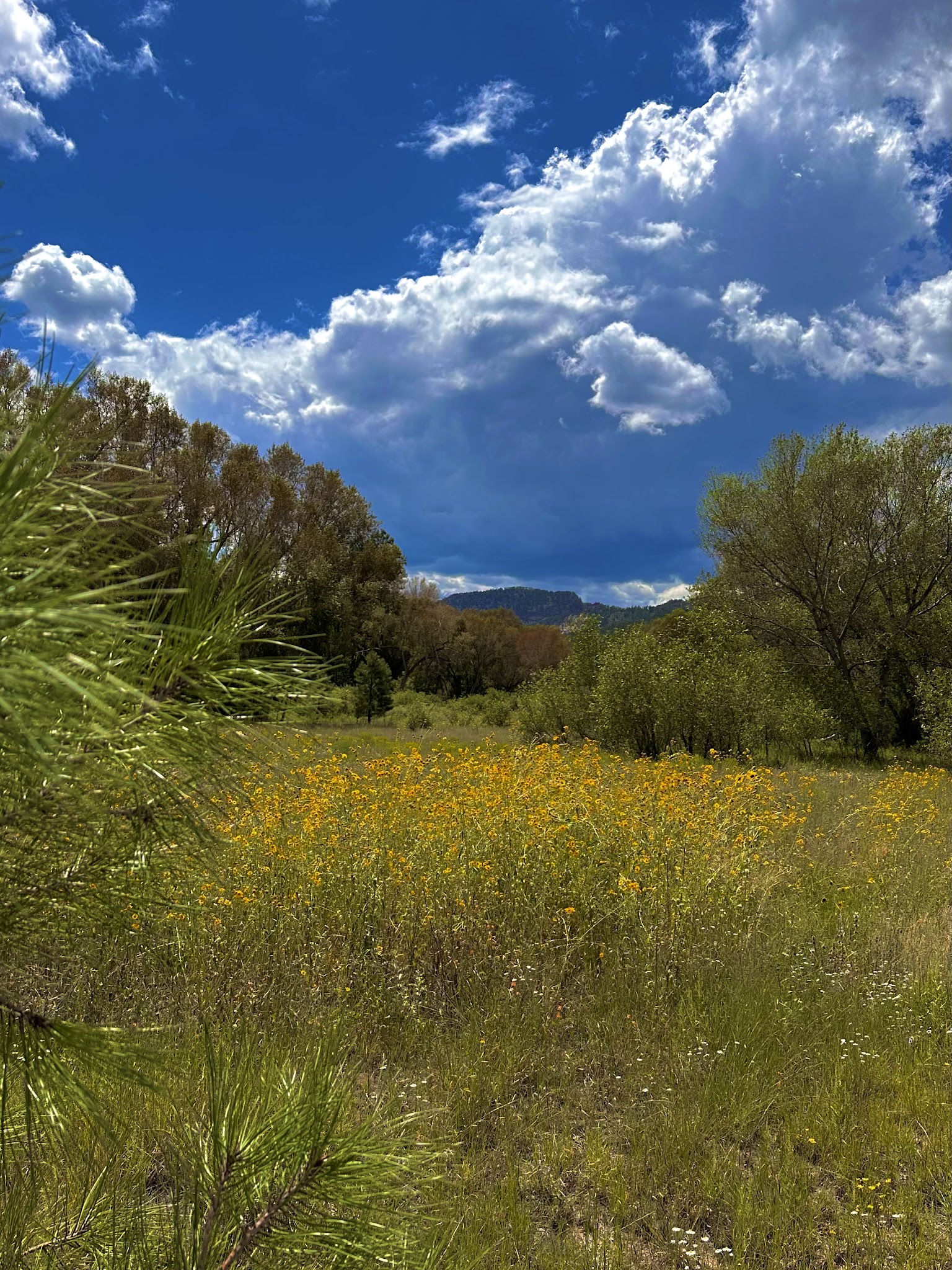 Upper Blue Campground