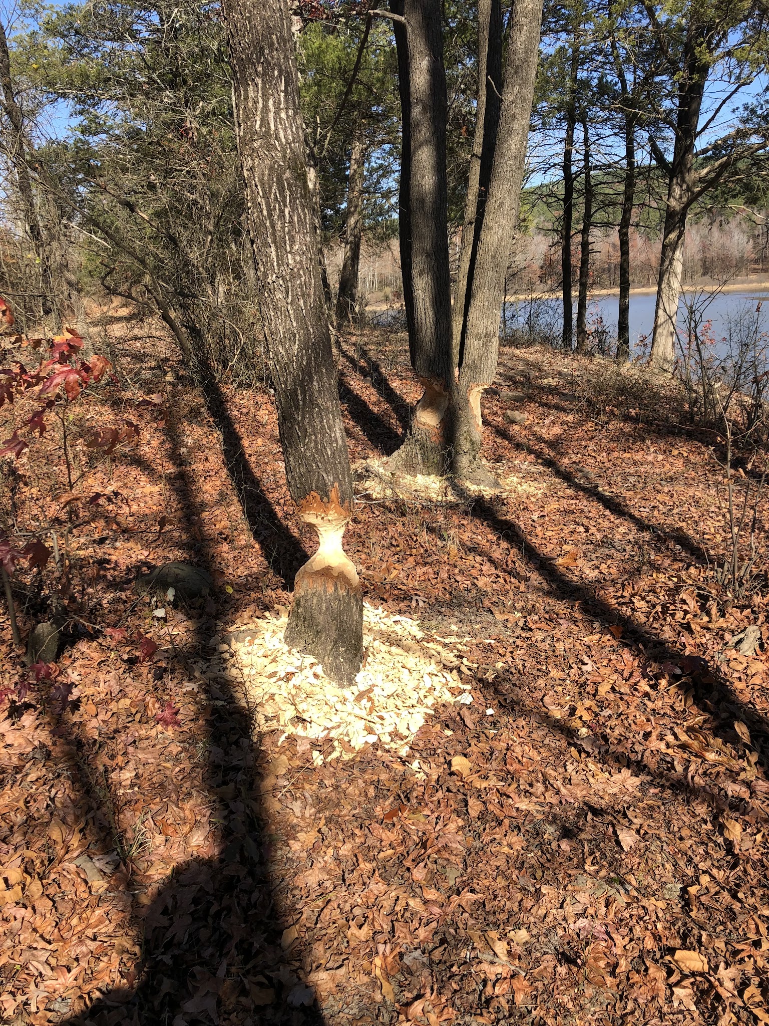 Brock Creek Lake Recreation Area
