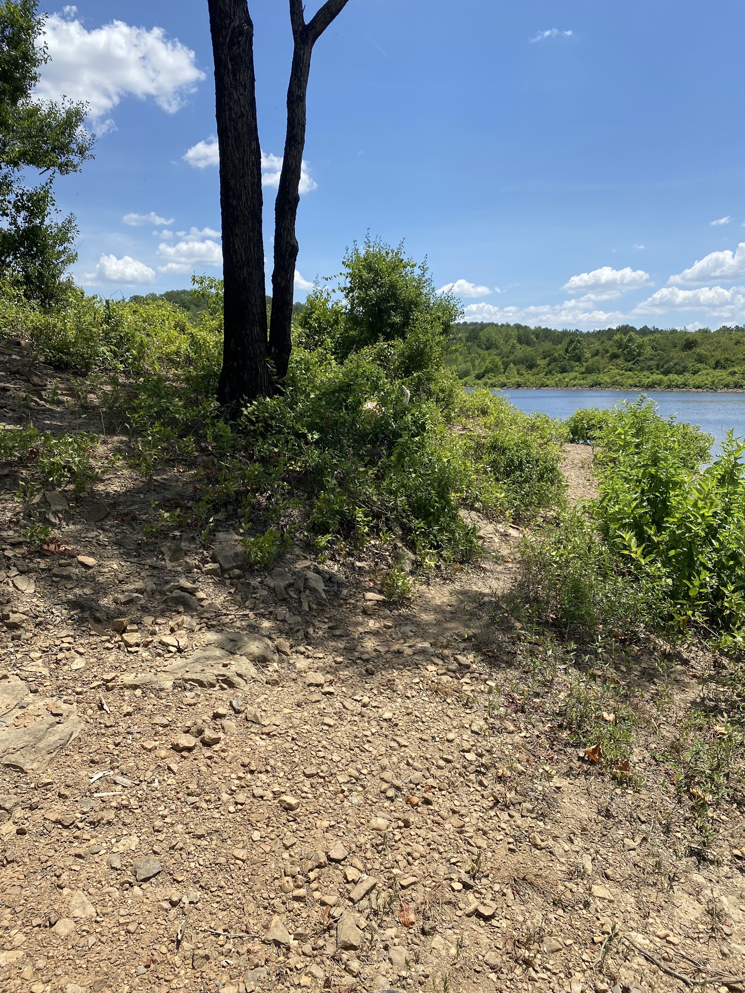 Brock Creek Lake Recreation Area