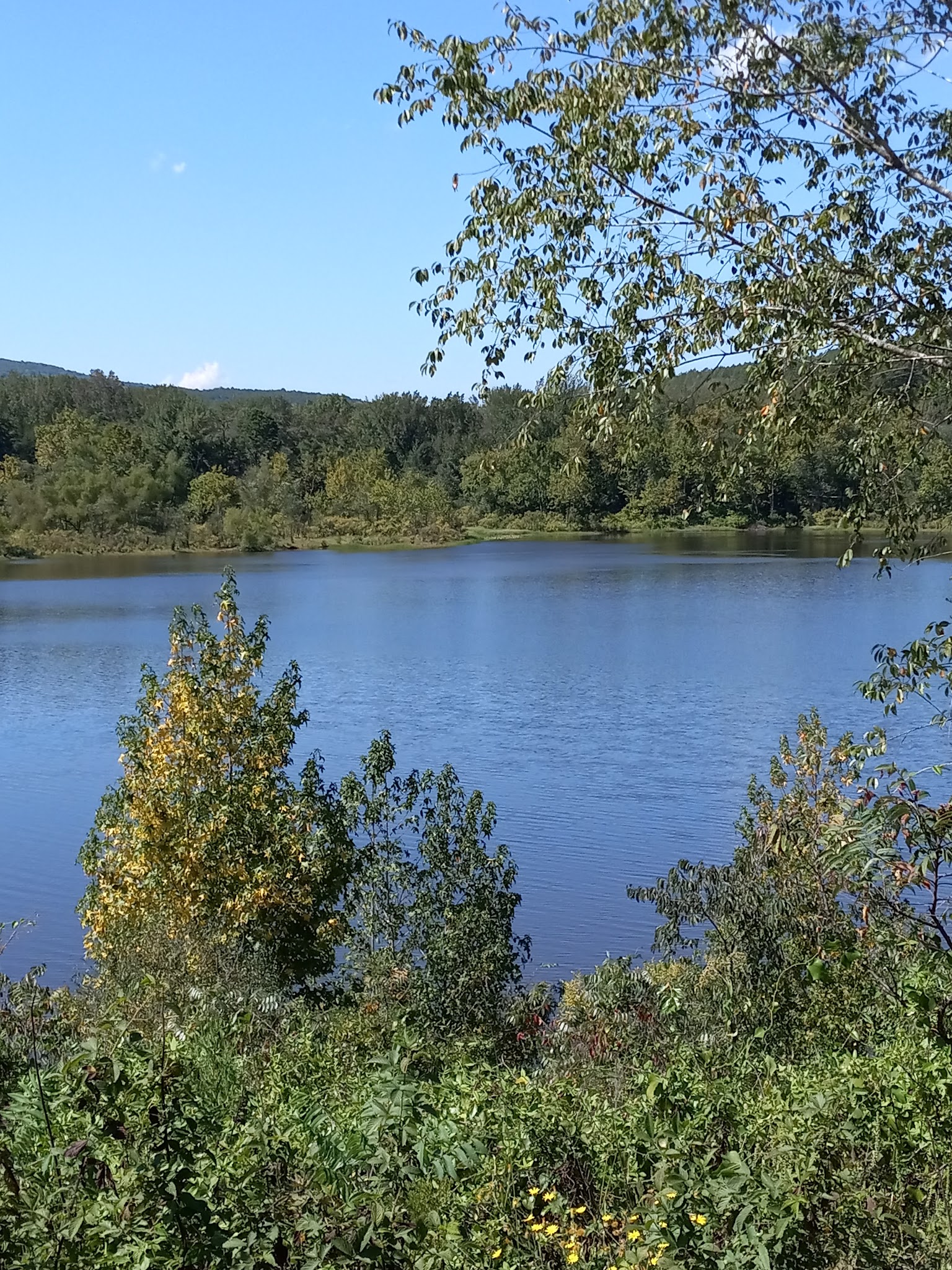 Brock Creek Lake Recreation Area