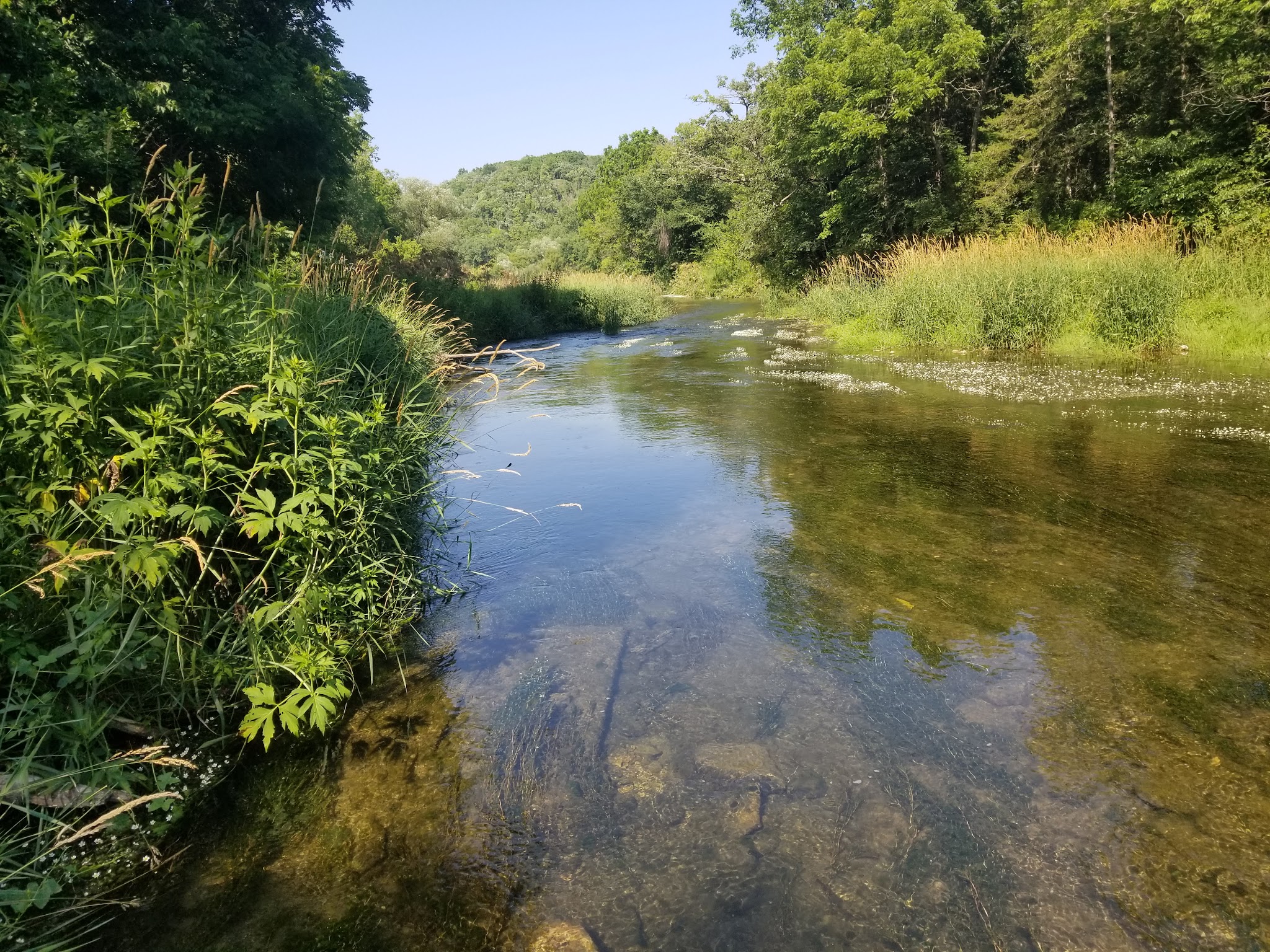 Cedar Hill Campground