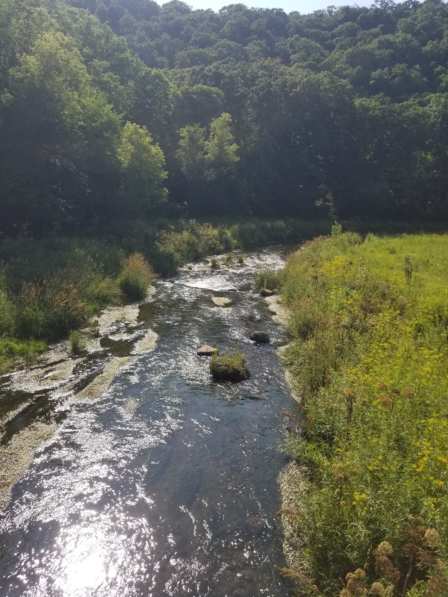 Cedar Hill Campground