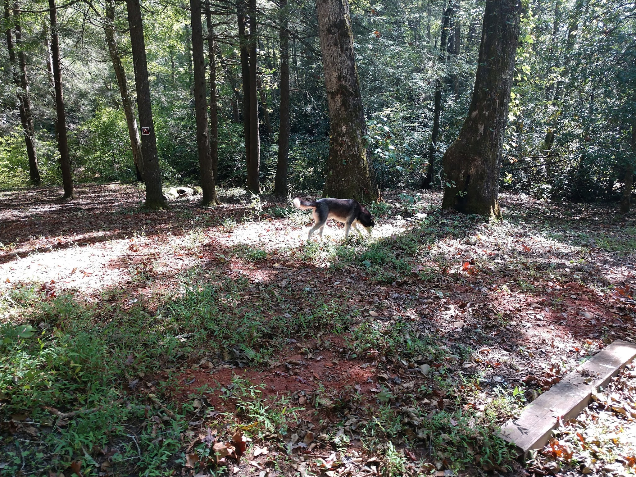 Upper Chattahoochee River Campground