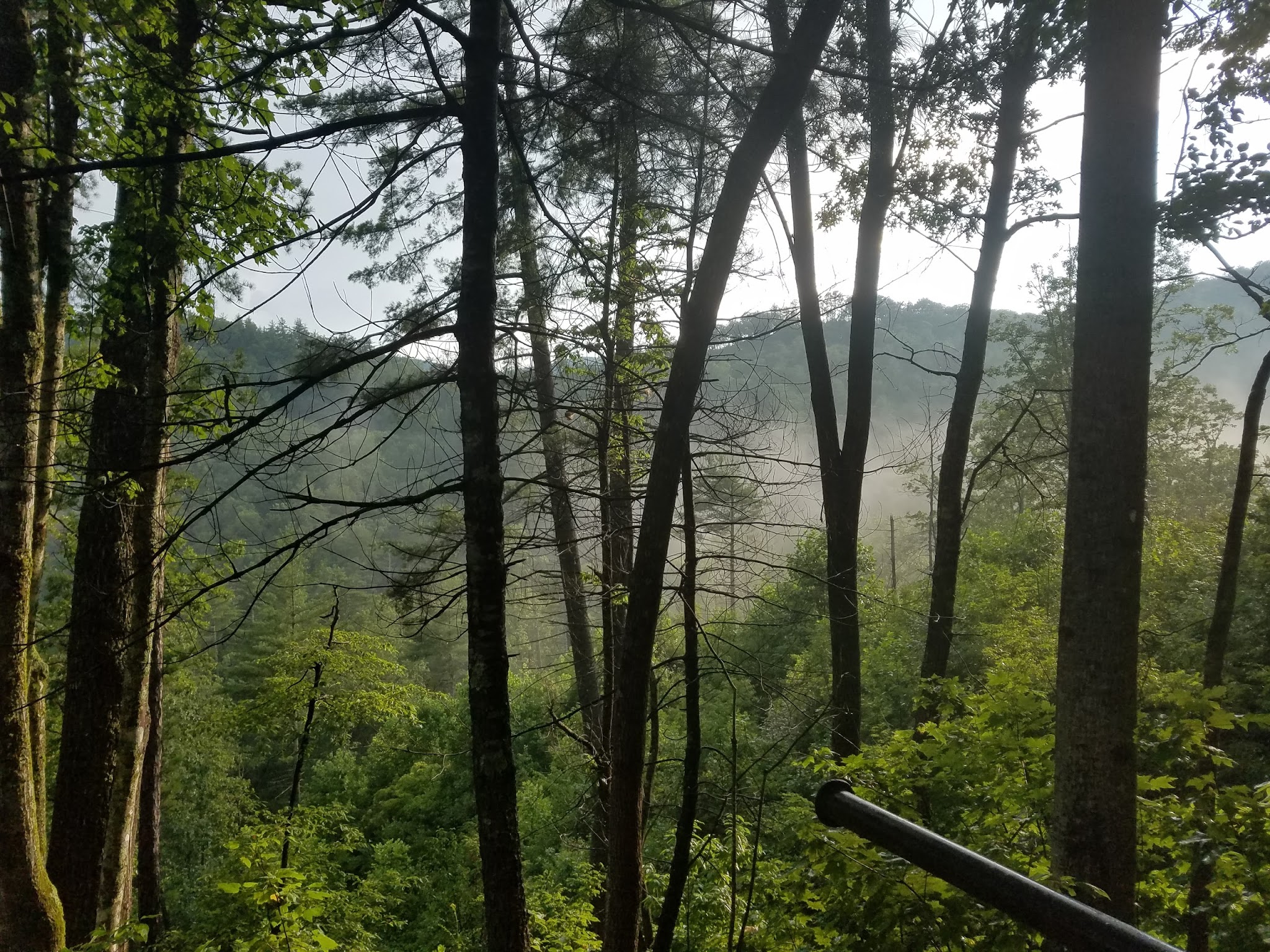 Upper Chattahoochee River Campground