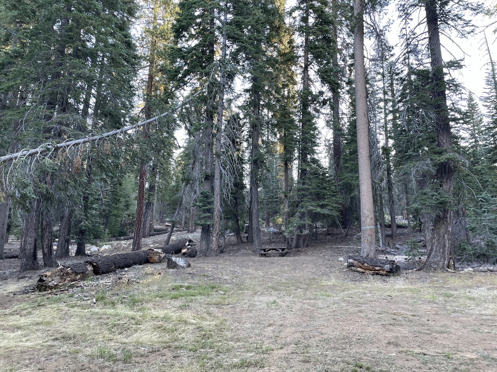 Upper Chiquito Campground