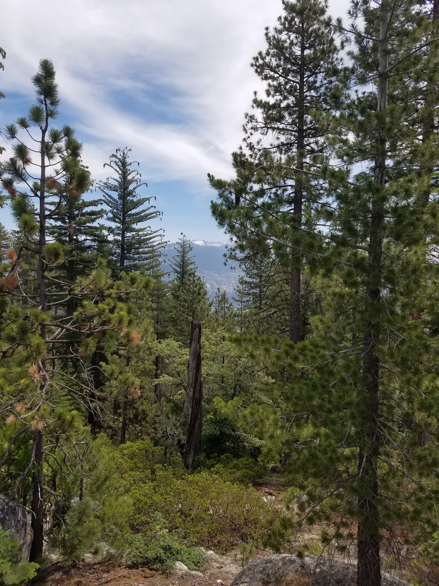 Upper Chiquito Campground