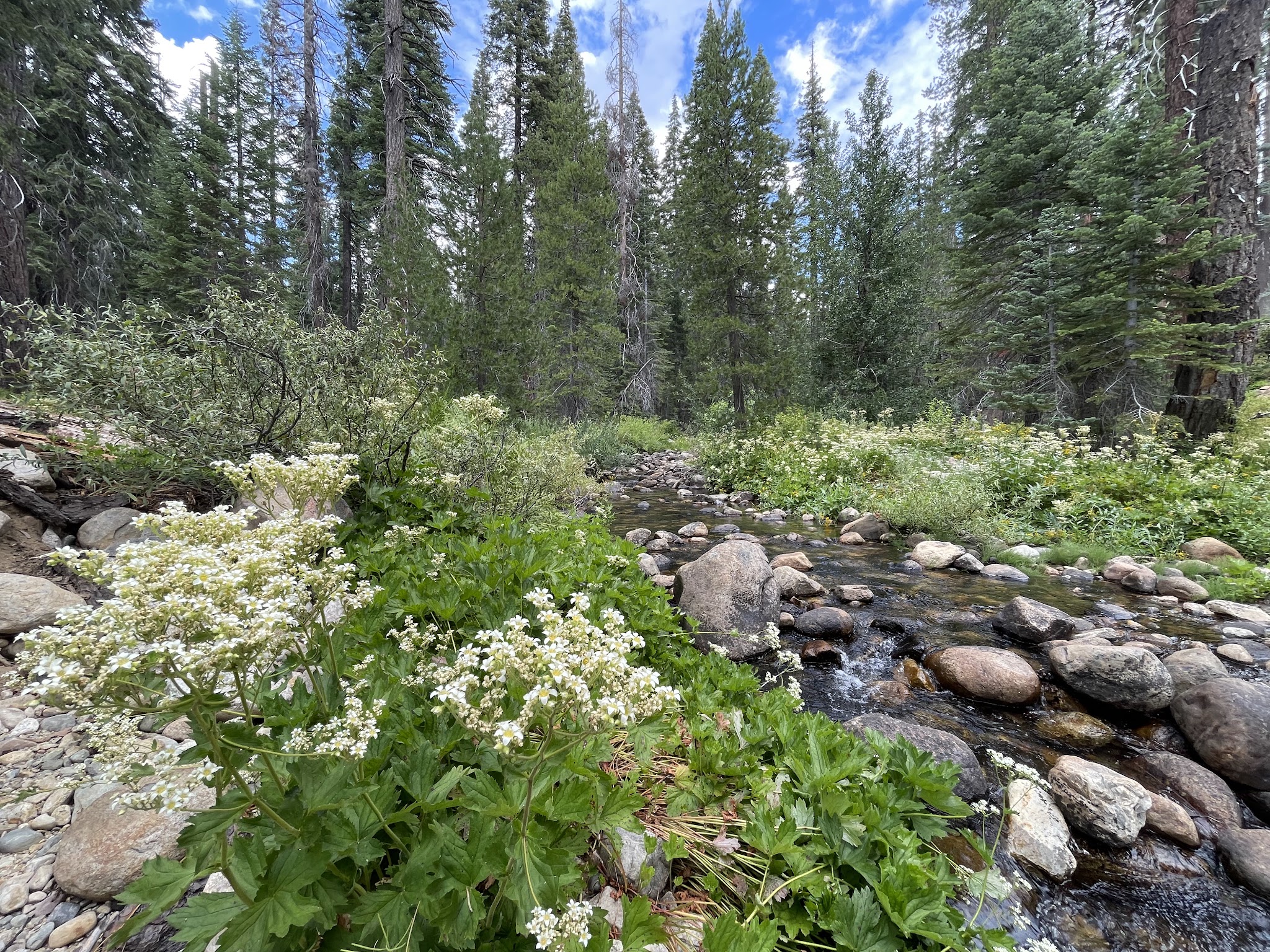 Upper Chiquito Campground