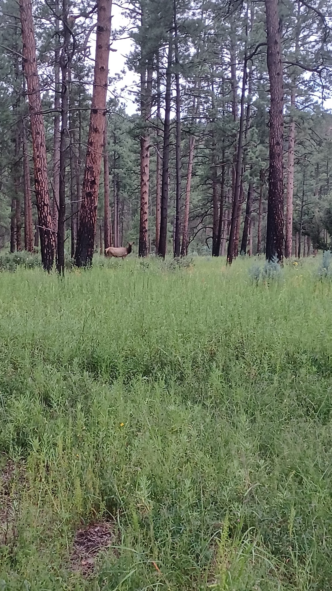Upper End Campground