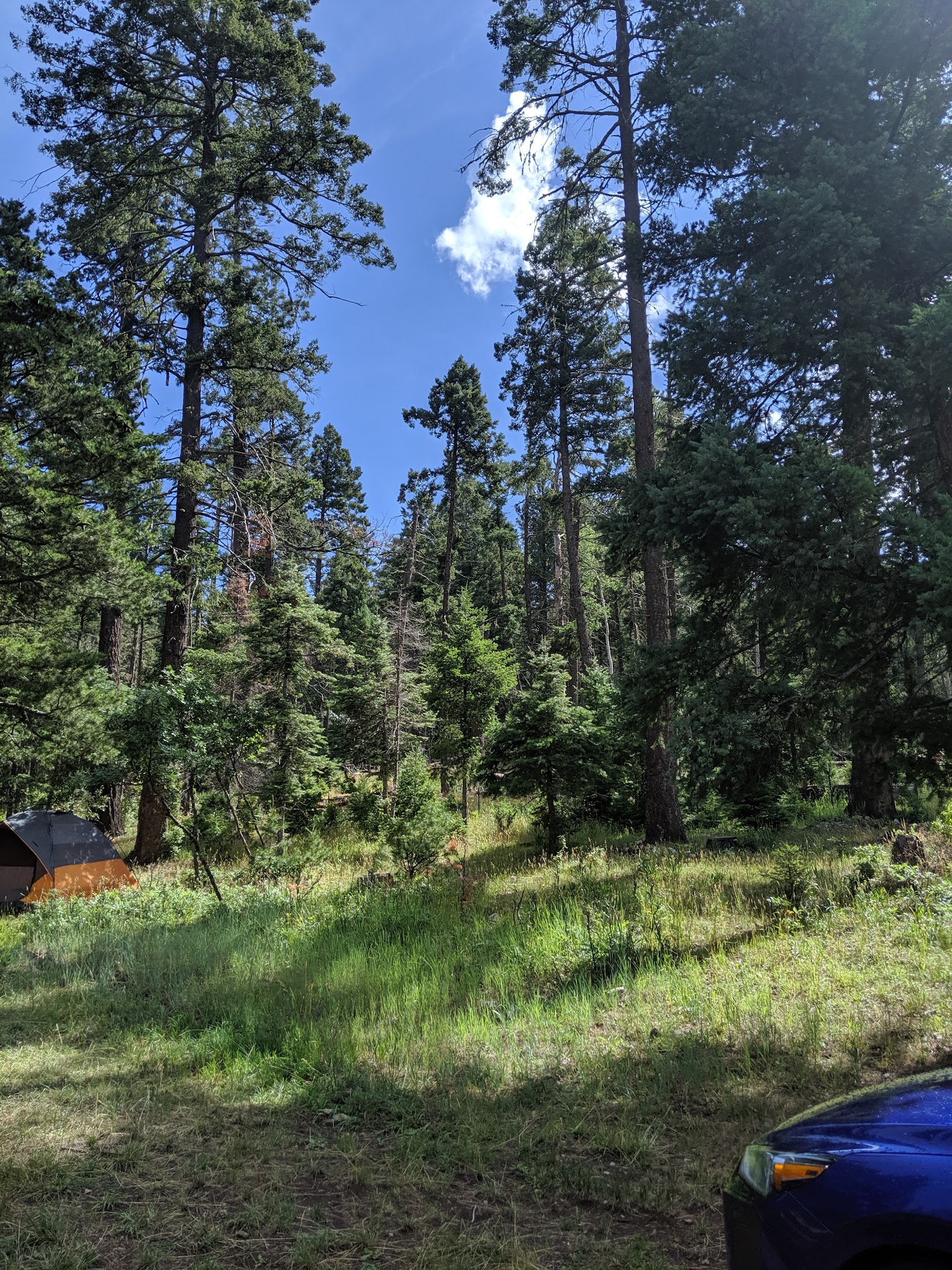 Upper Fir Group Campground