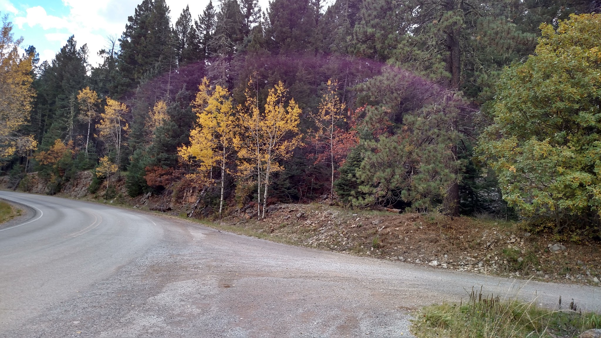 Upper Fir Group Campground