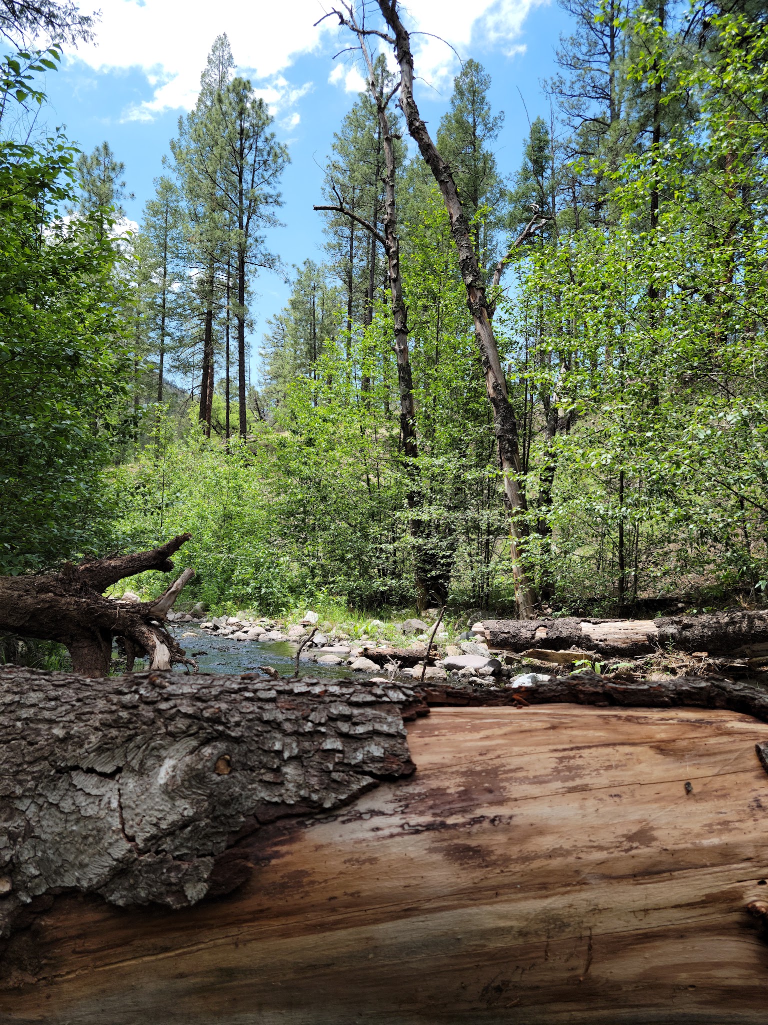 Gallinas Campground - Upper