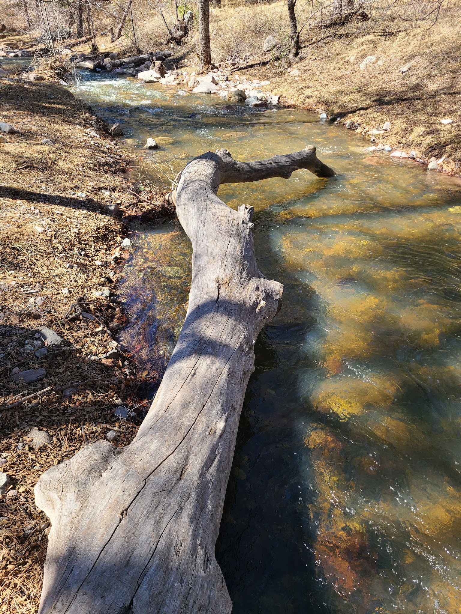 Gallinas Campground - Upper