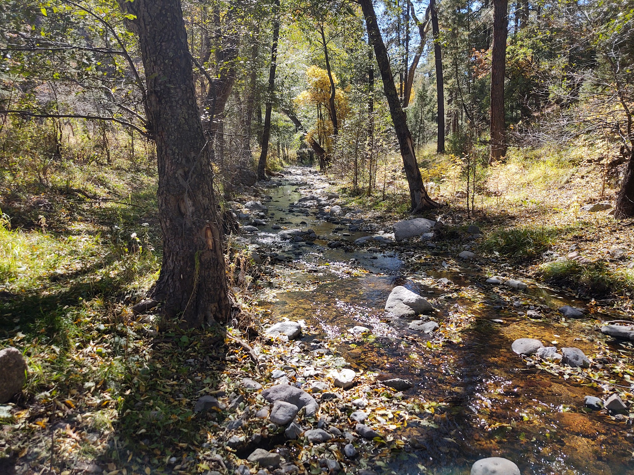 Gallinas Campground - Upper