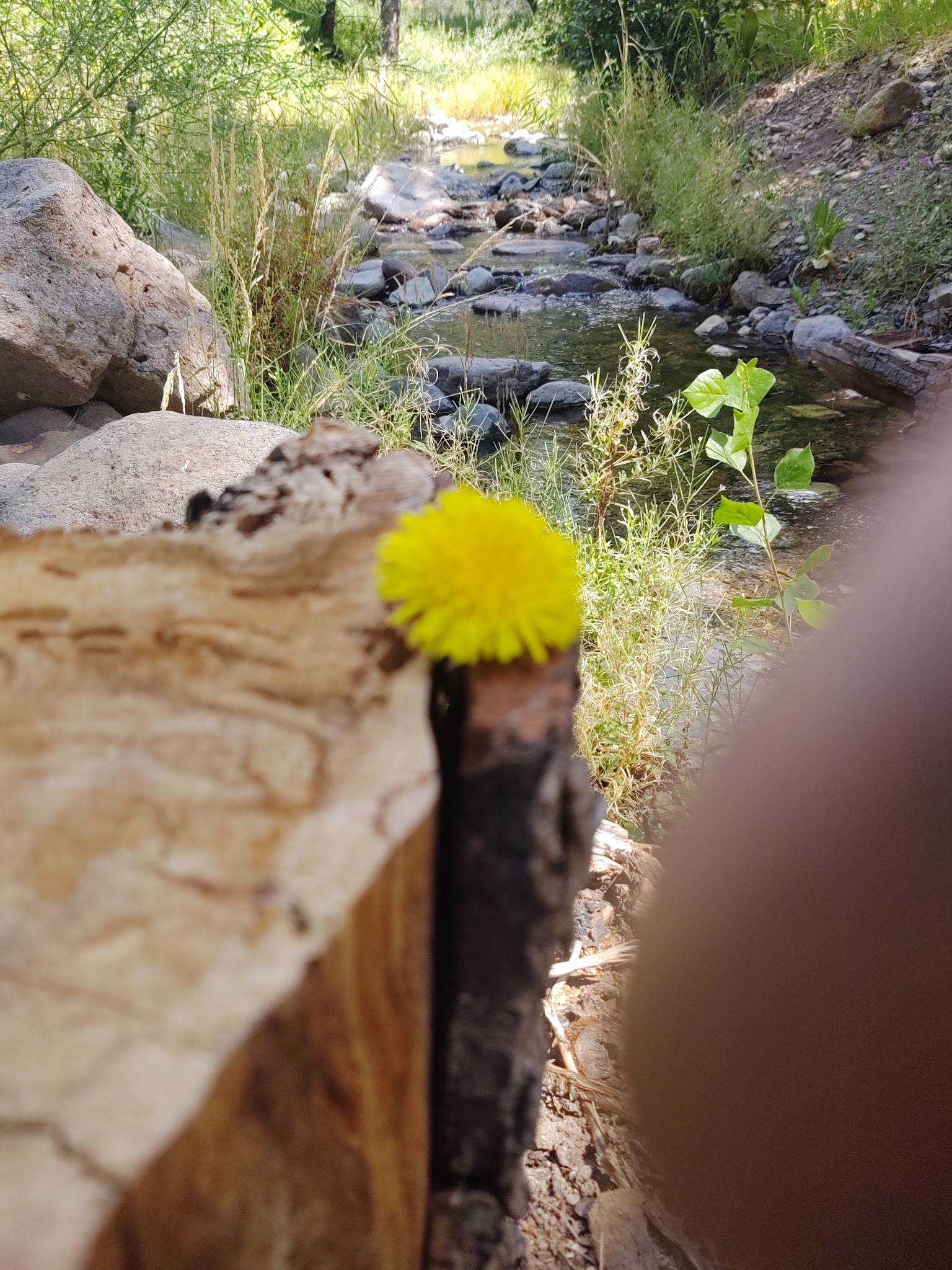 Gallinas Campground - Upper