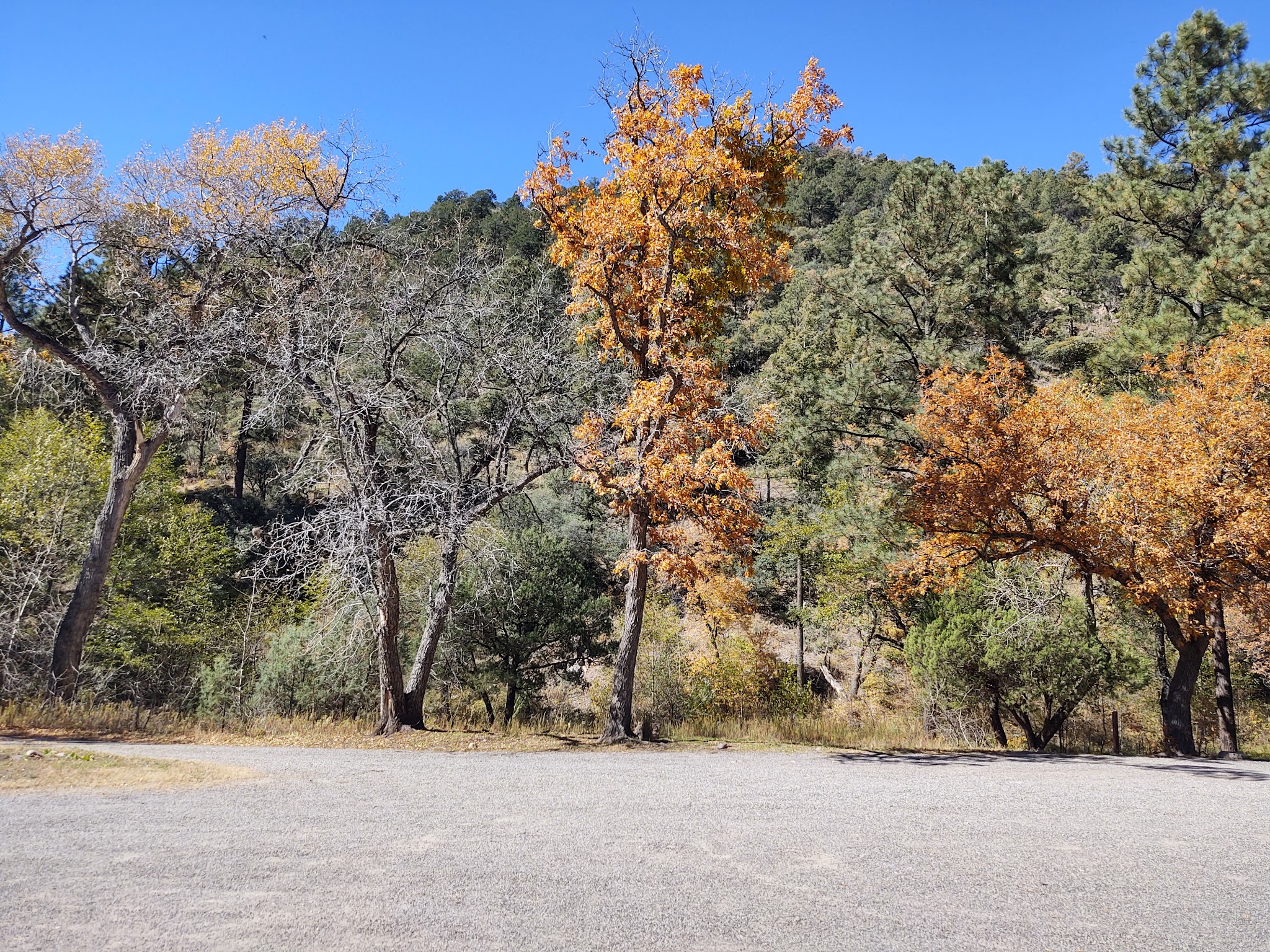 Gallinas Campground - Upper