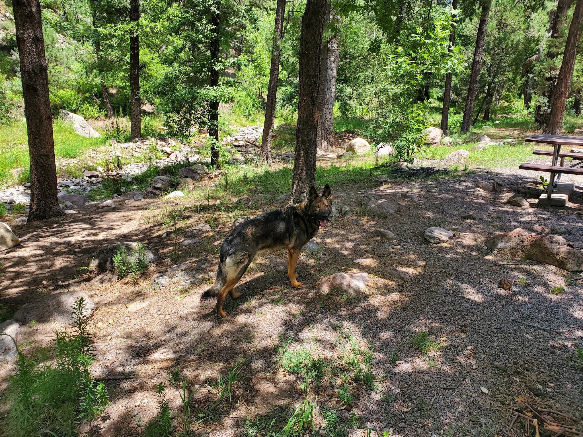 Gallinas Campground - Upper