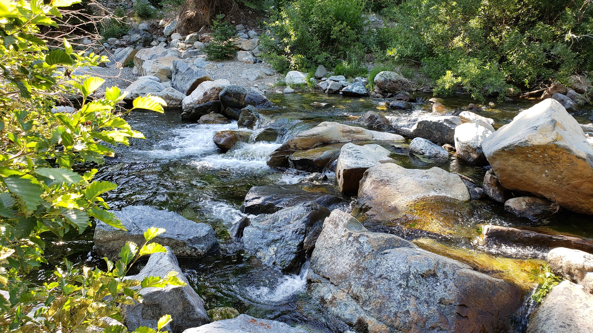 Jamison Creek Campground
