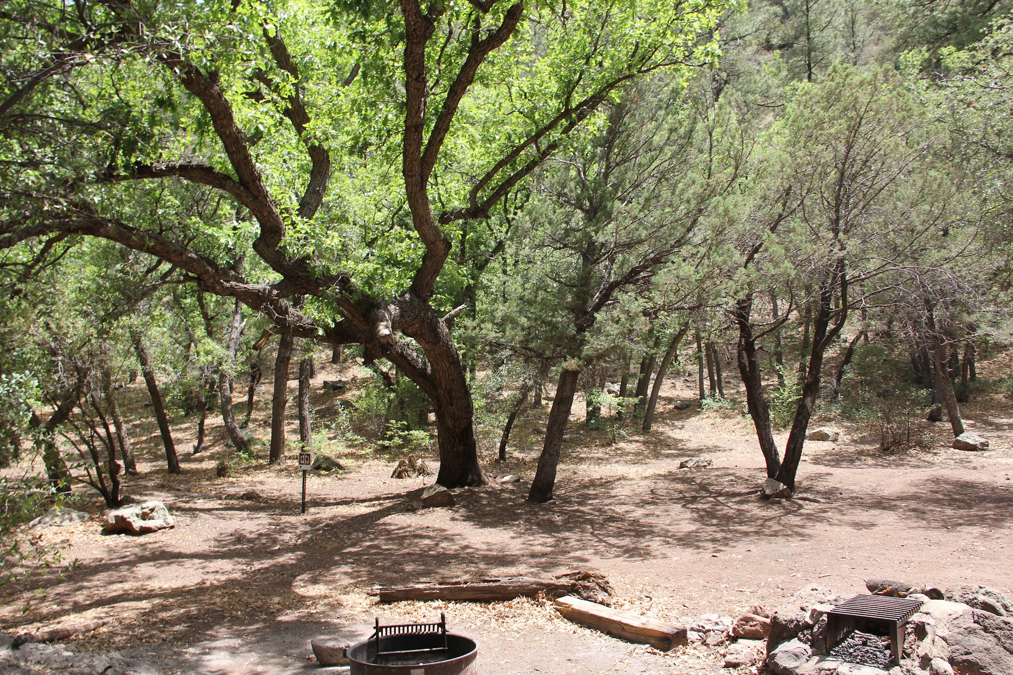 Upper Juan Miller Campground