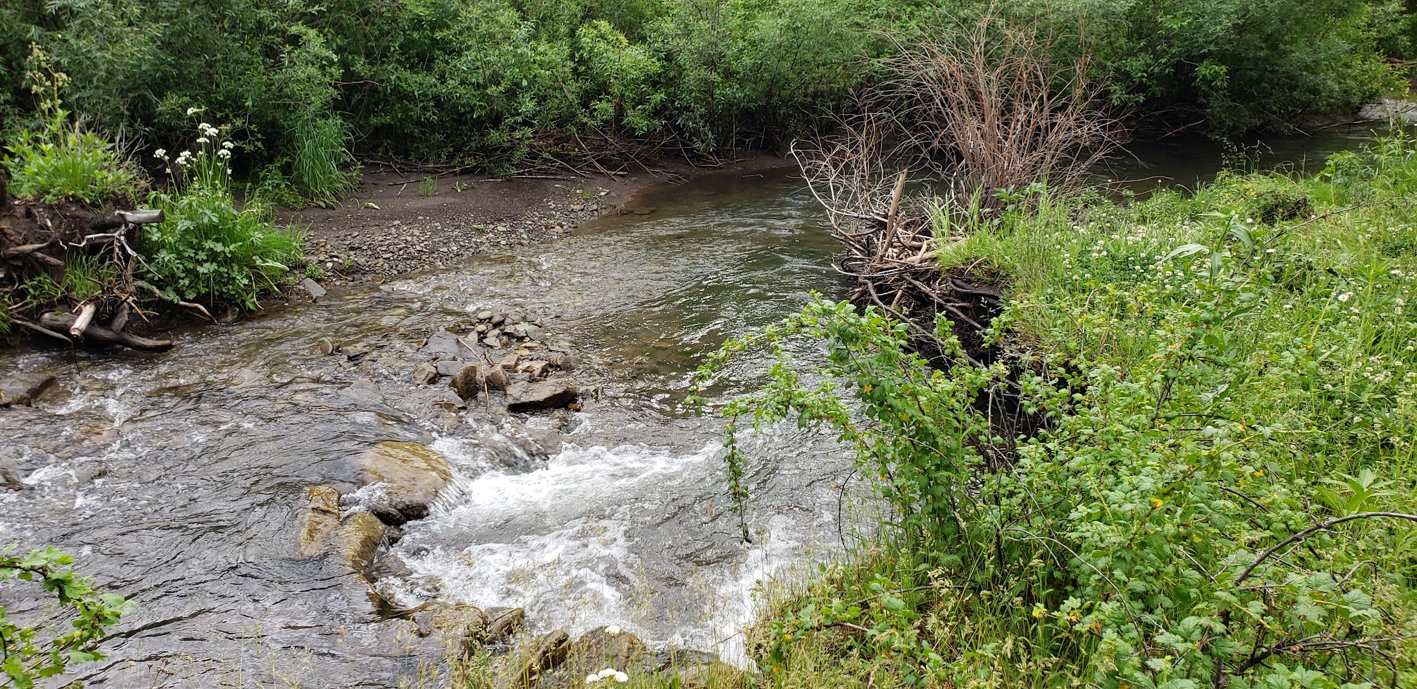 Upper La Junta Campground