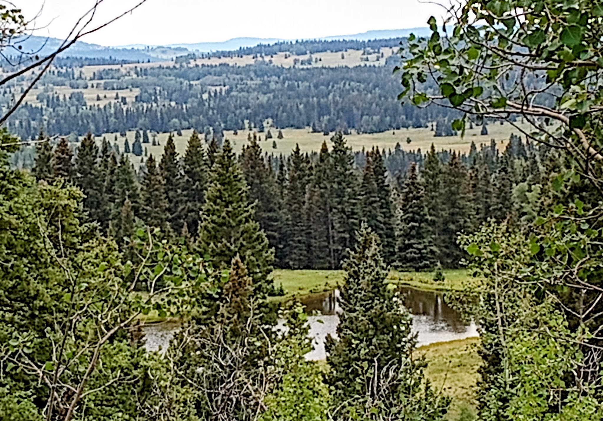 Upper Lagunitas / Lower Lagunitas Campgrounds