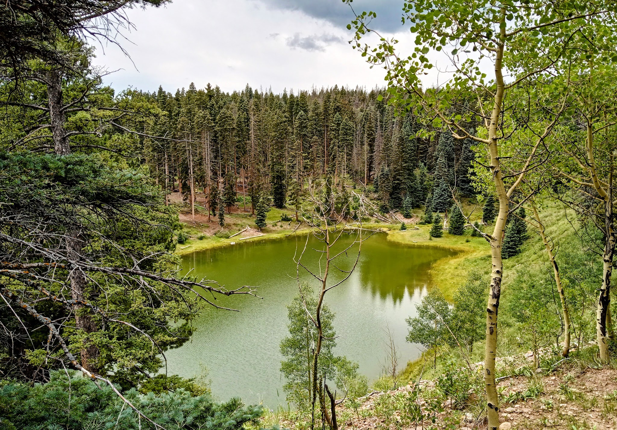 Upper Lagunitas / Lower Lagunitas Campgrounds