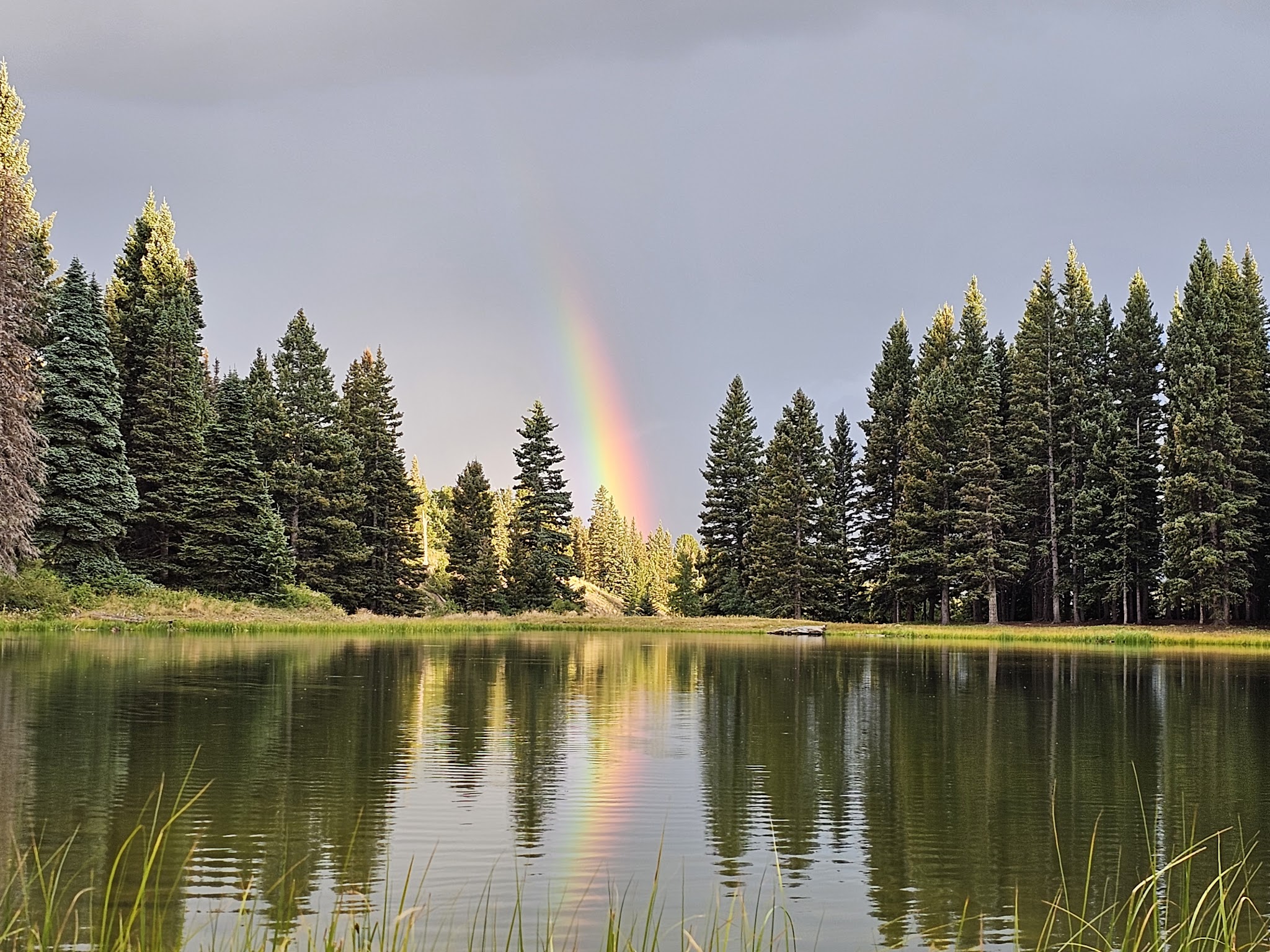 Upper Lagunitas / Lower Lagunitas Campgrounds