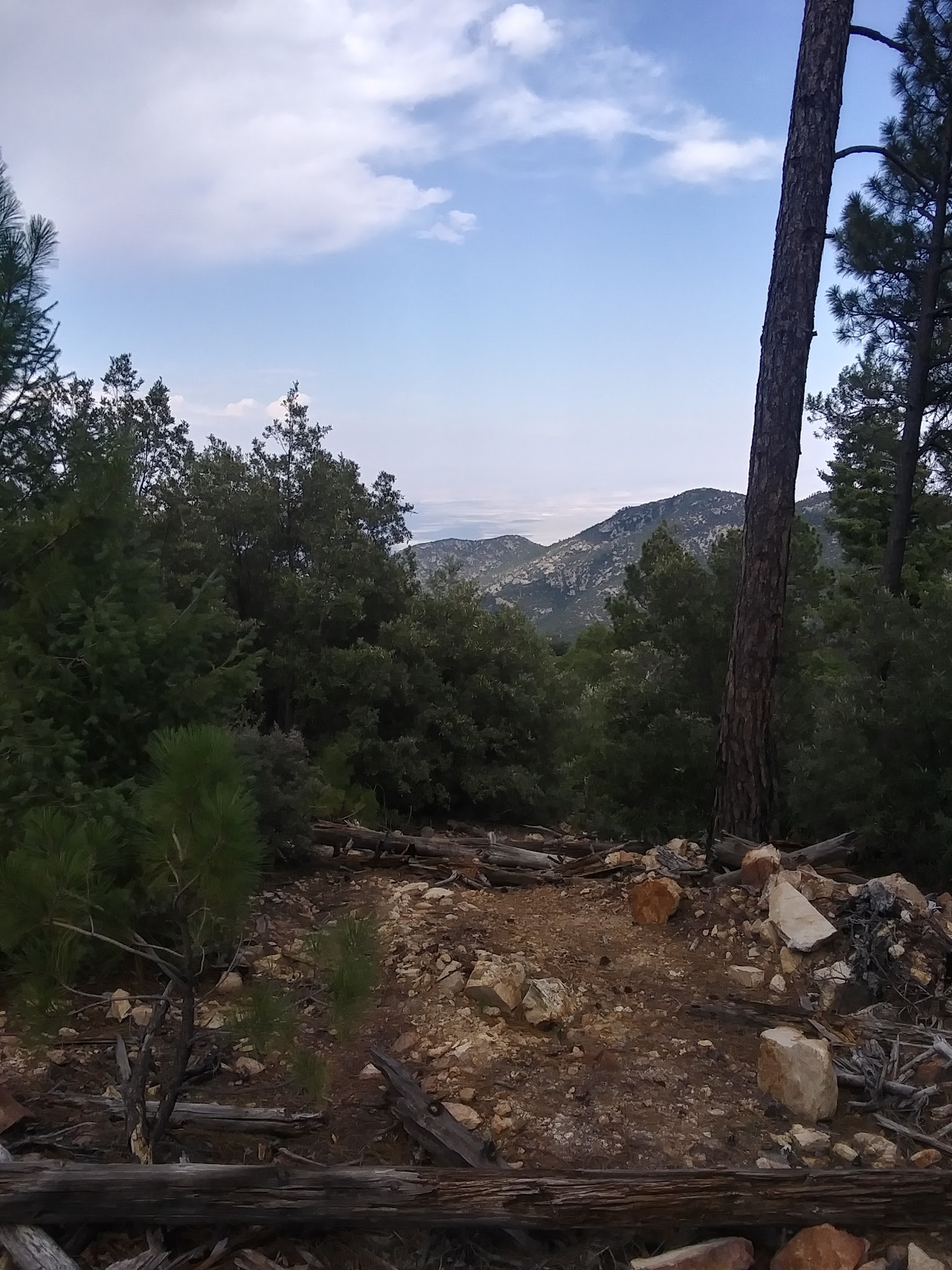 Upper Twilight Group Site