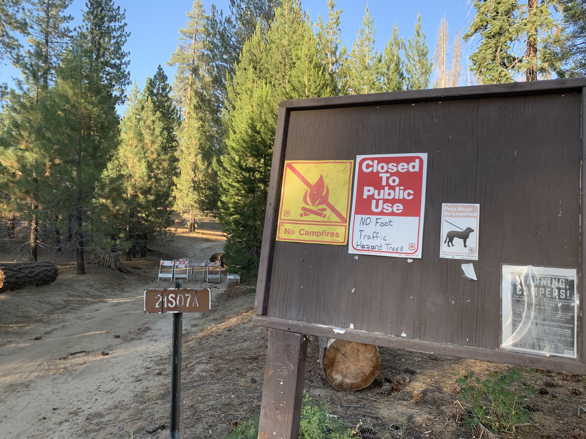 Upper Peppermint Dispersed Area