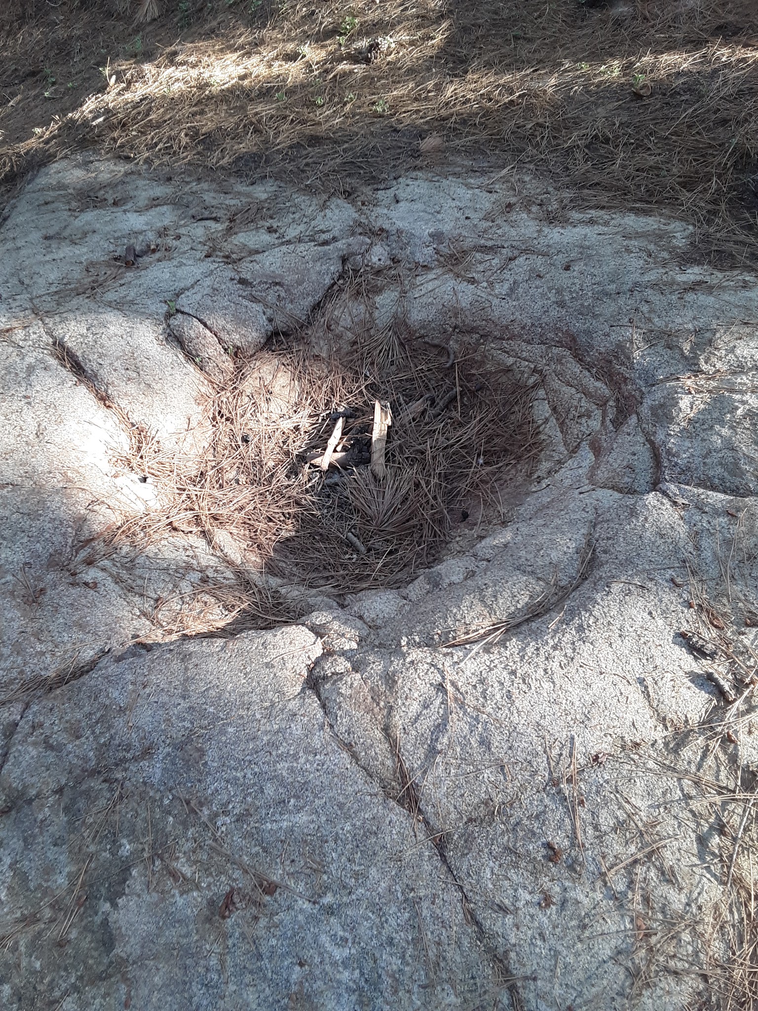 Upper Peppermint Dispersed Area