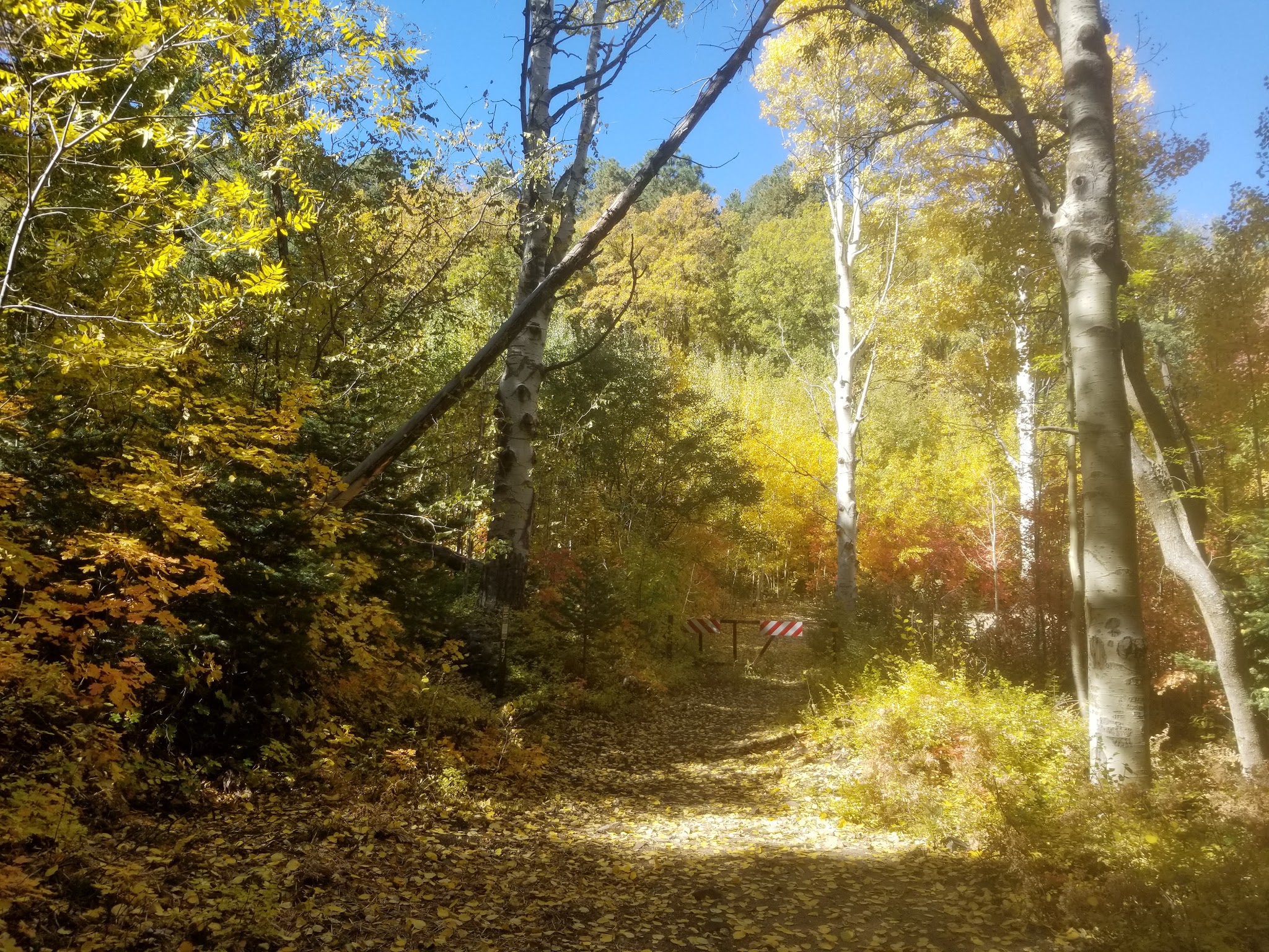 Pinal & Upper Pinal Campgrounds