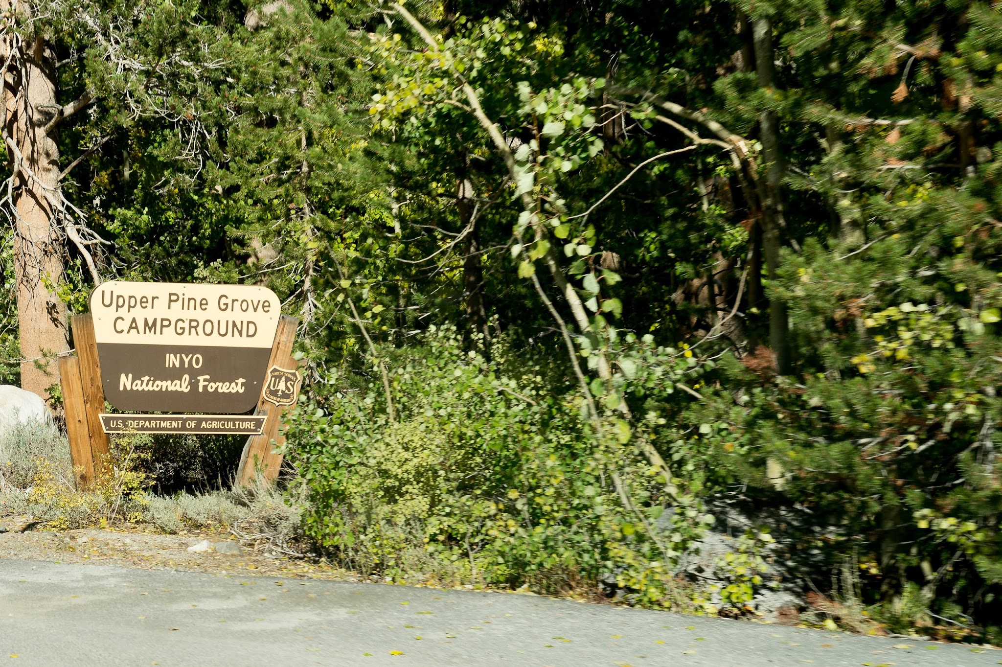 Pine Grove Campground