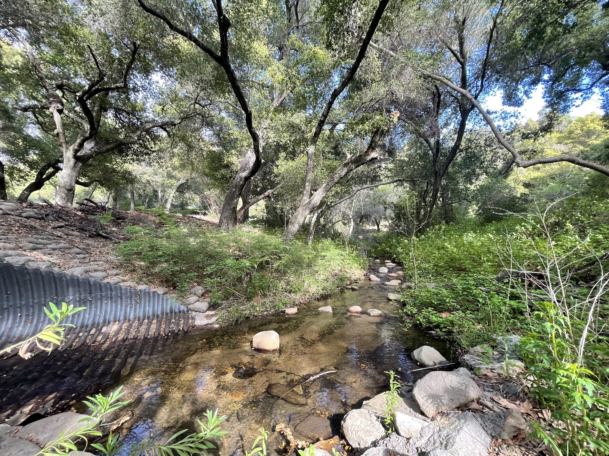Upper San Juan Campground