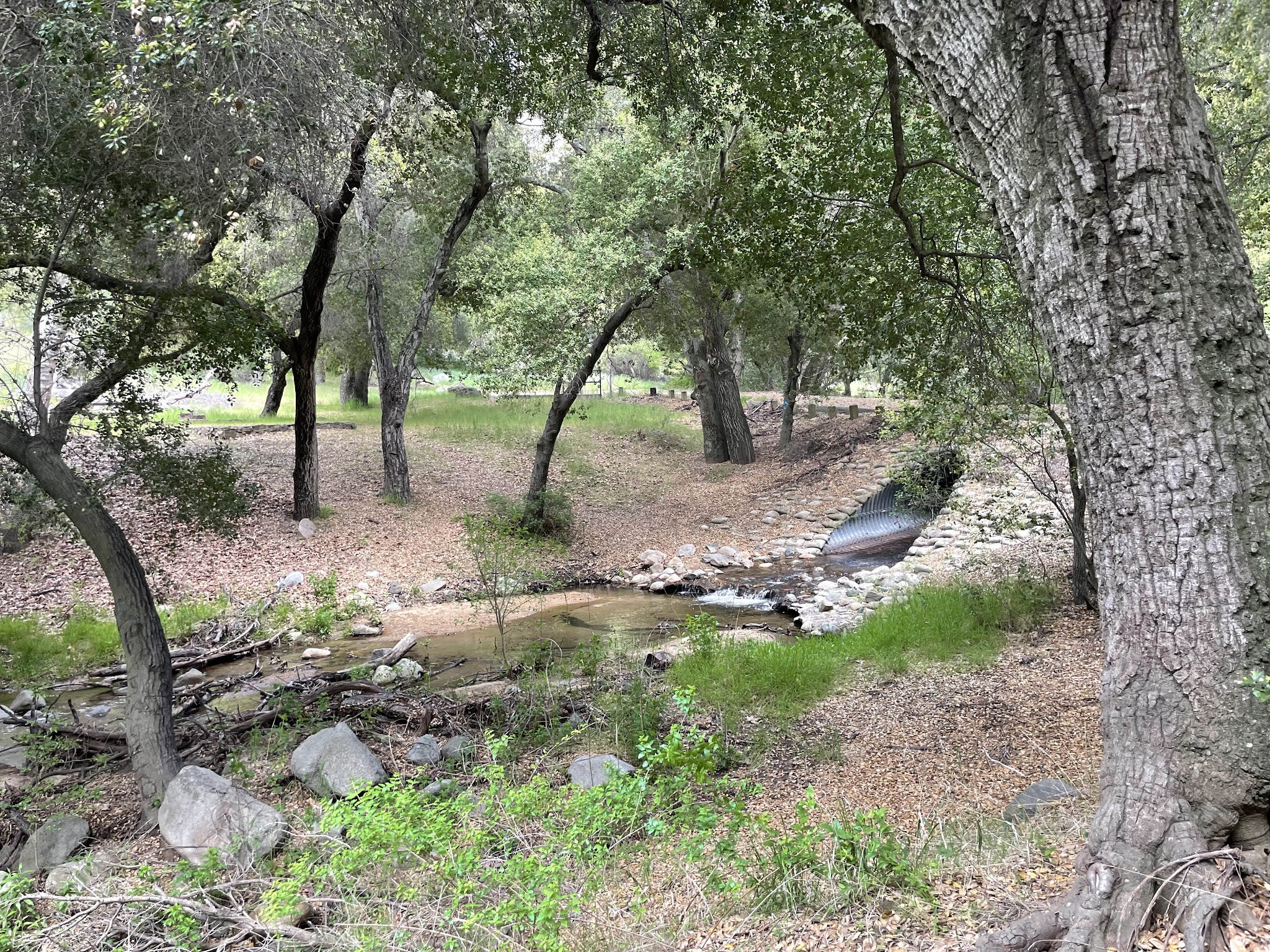 Upper San Juan Campground