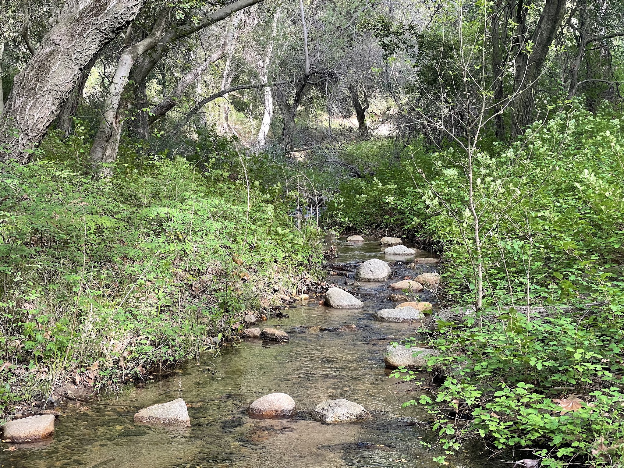 Upper San Juan Campground