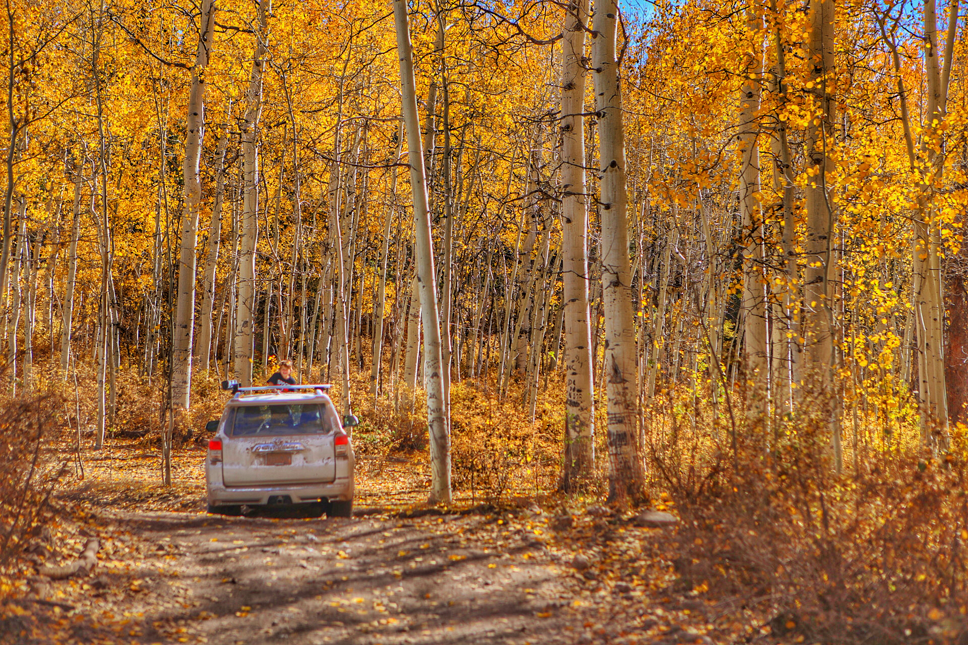 Upper Six Mile Ponds Campground