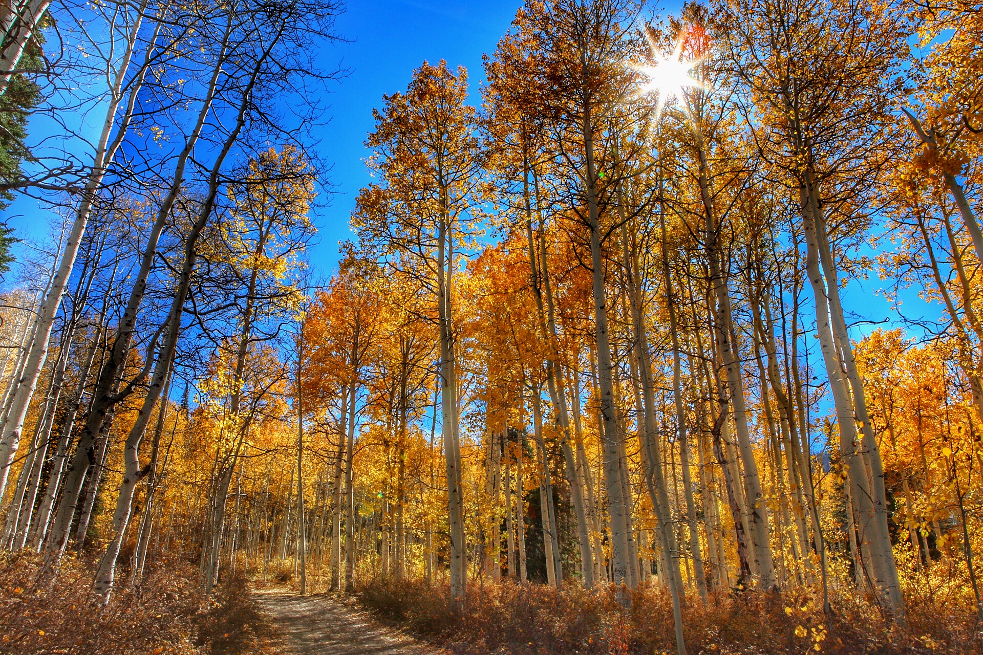 Upper Six Mile Ponds Campground