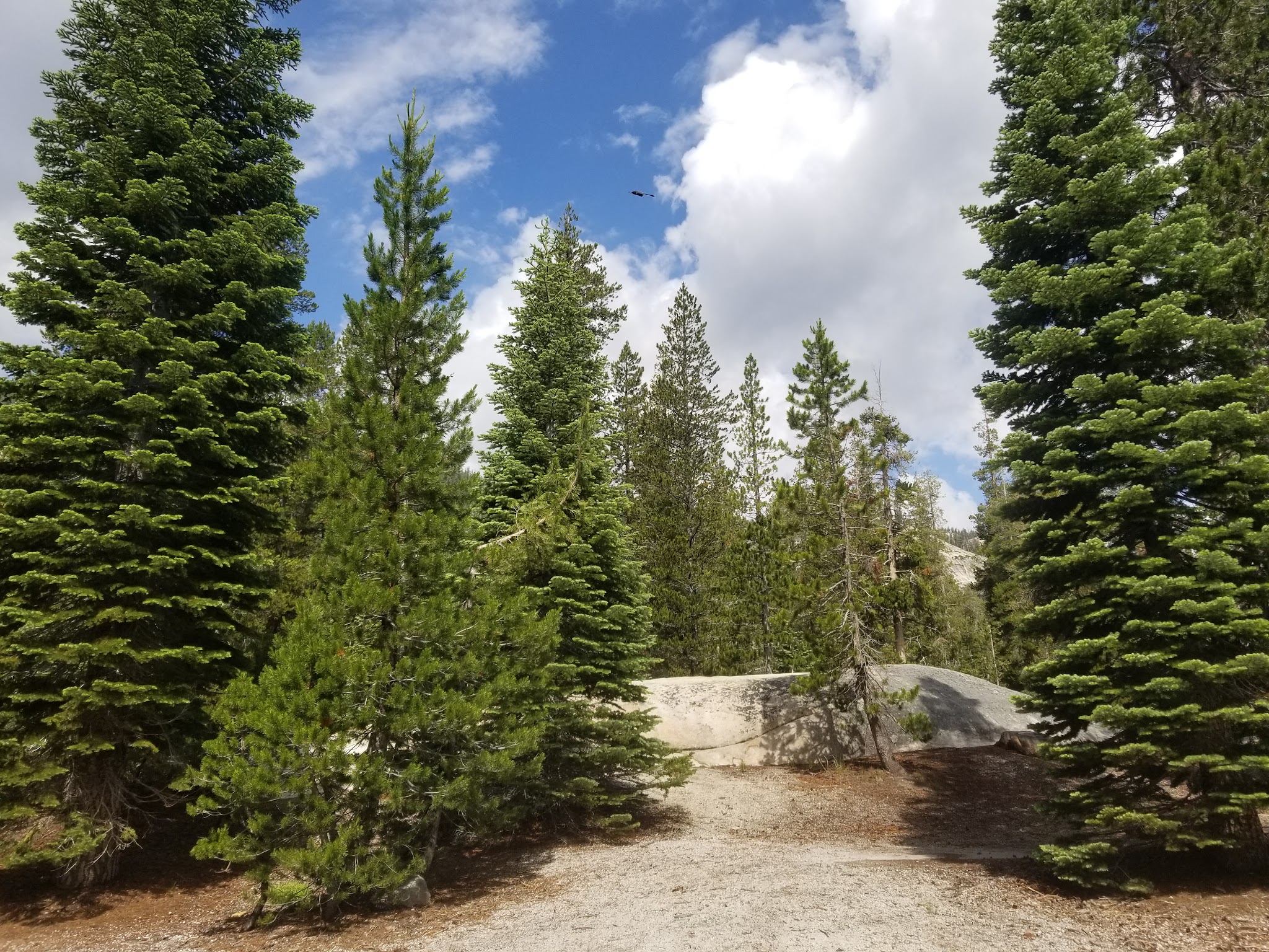 Upper Soda Springs Campground