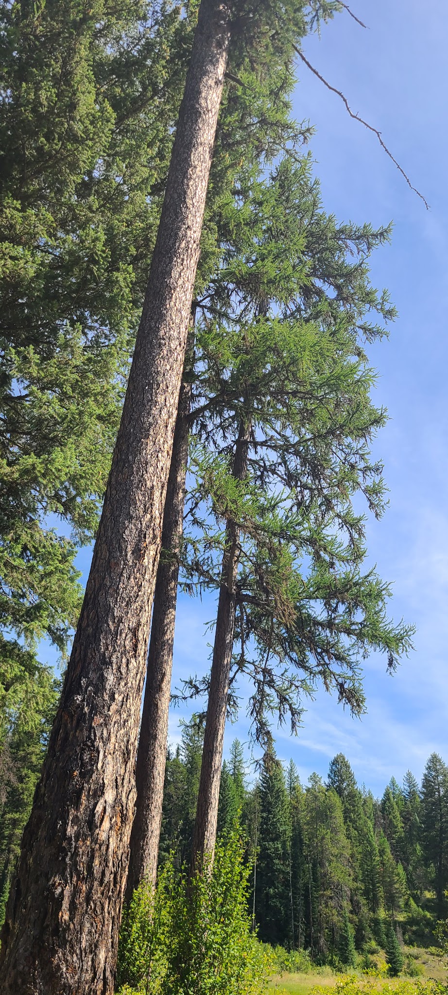 Upper Stillwater Lake Campground
