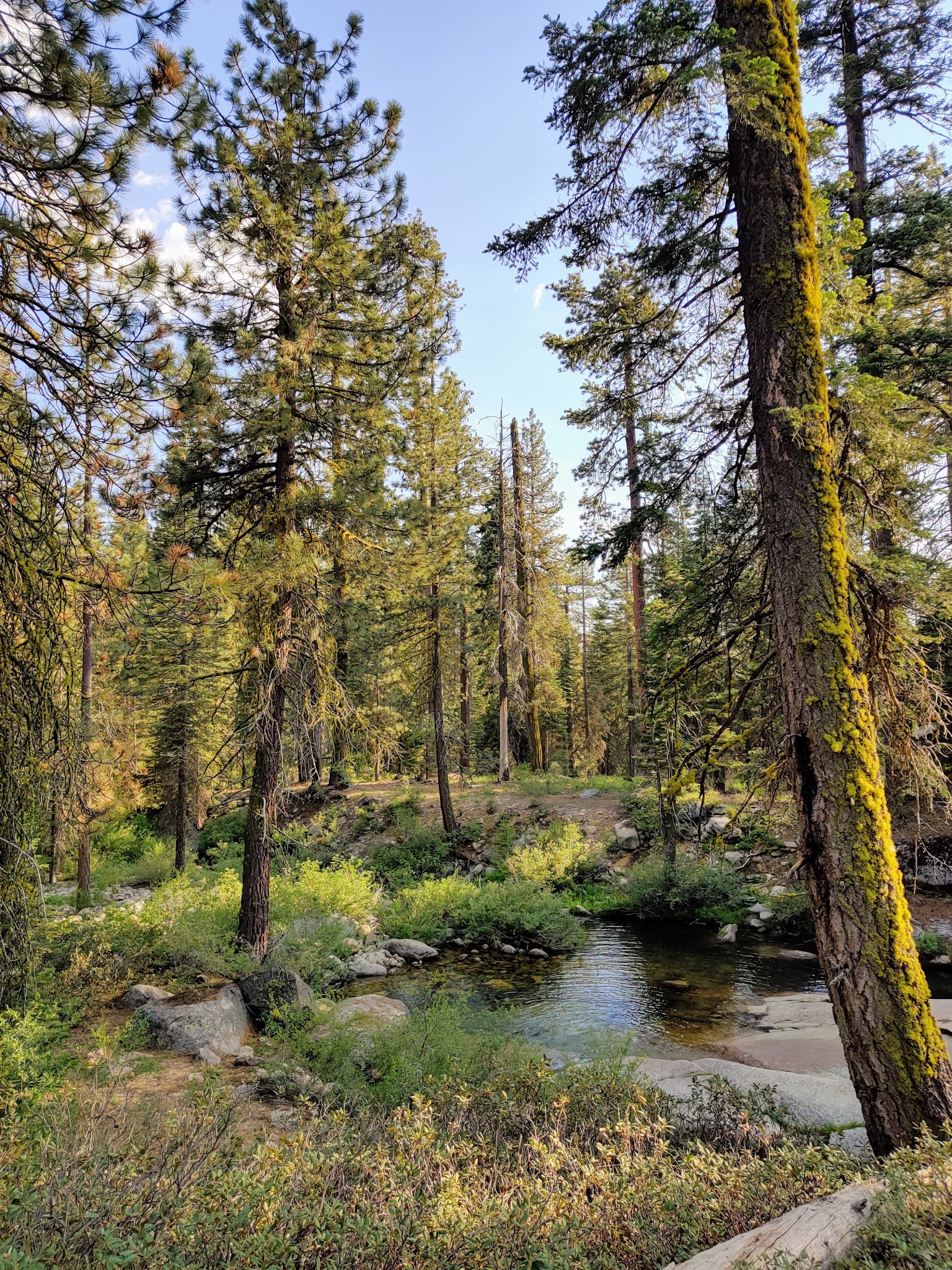Upper Stony Creek Campground
